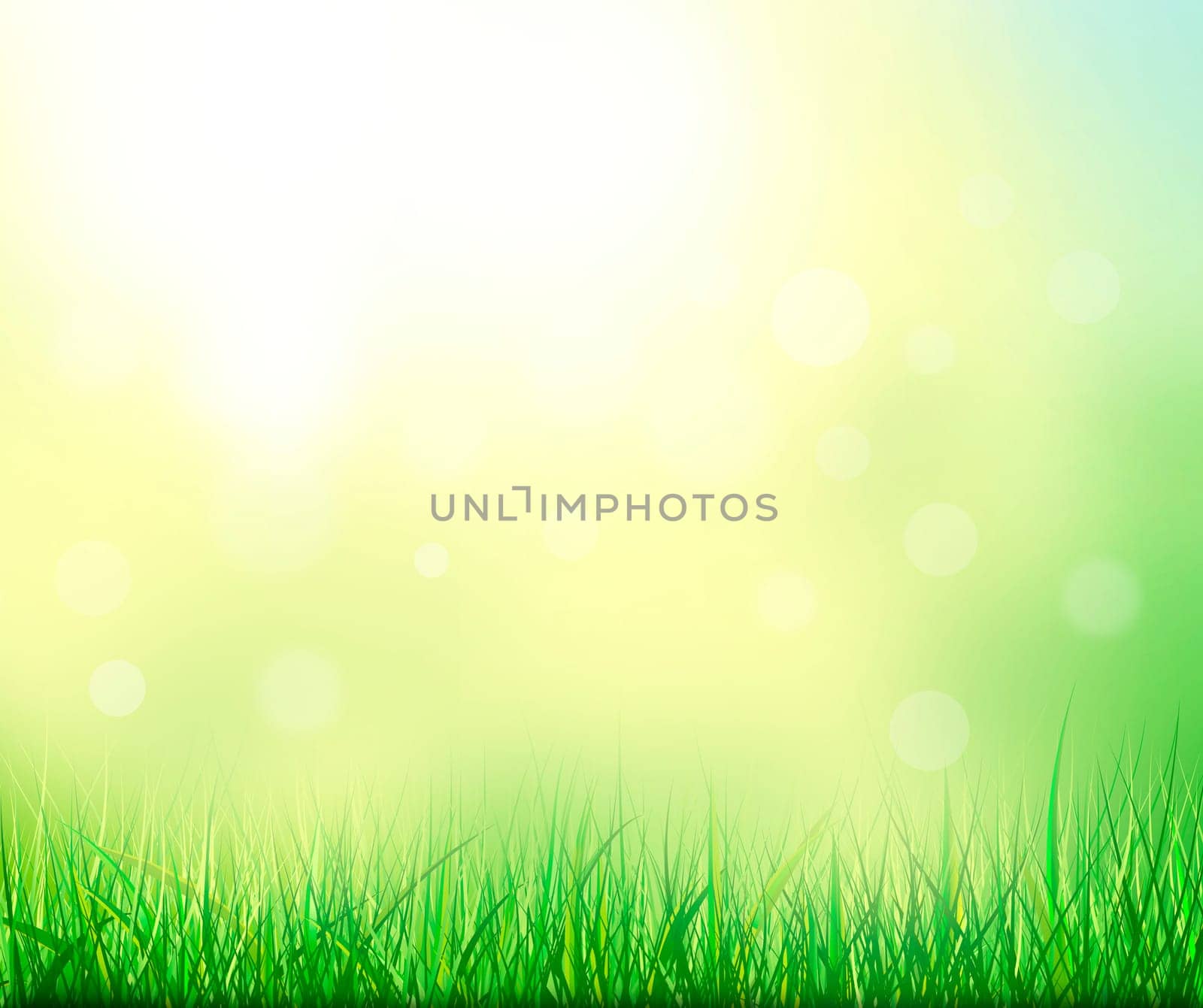 Abstract summer natural background. Grass in the background of sunlight.