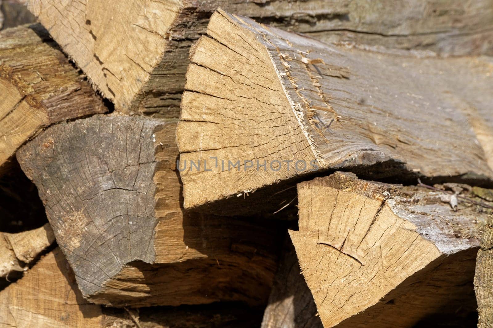 Firewood