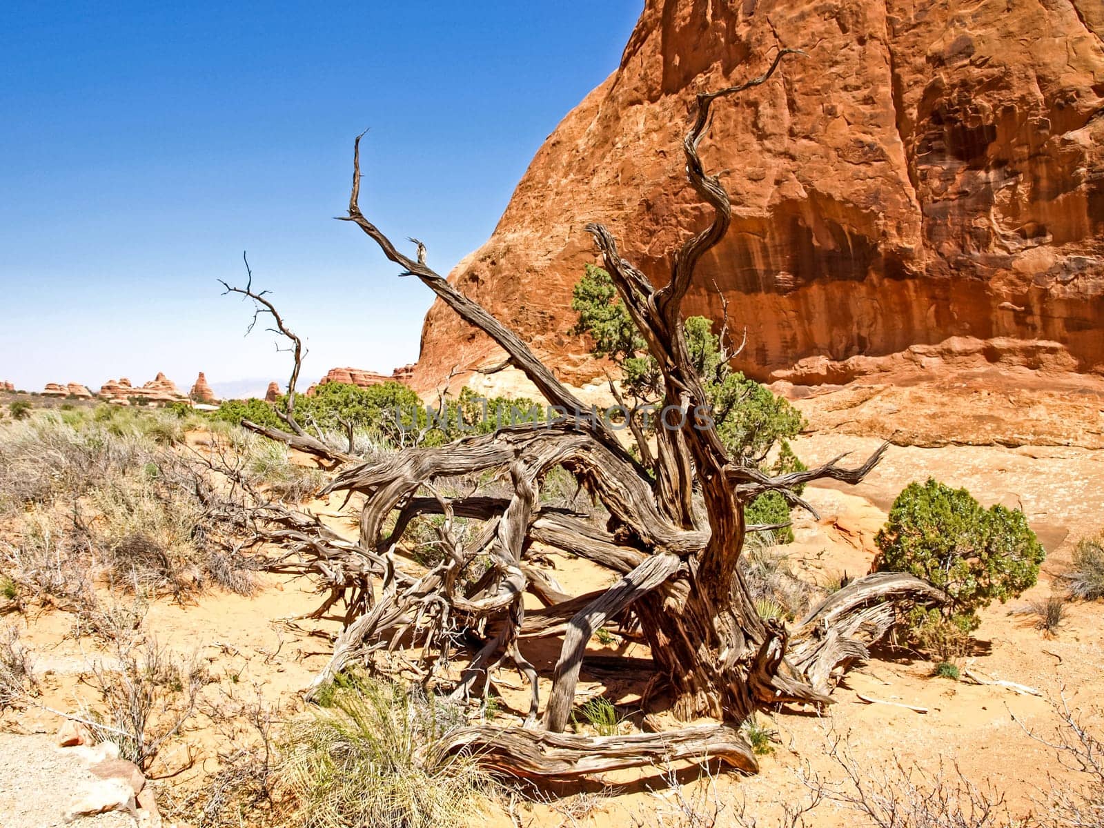 Nature National Park, Utah. The landscape and rocks. Roads and propinki Park, Utah.