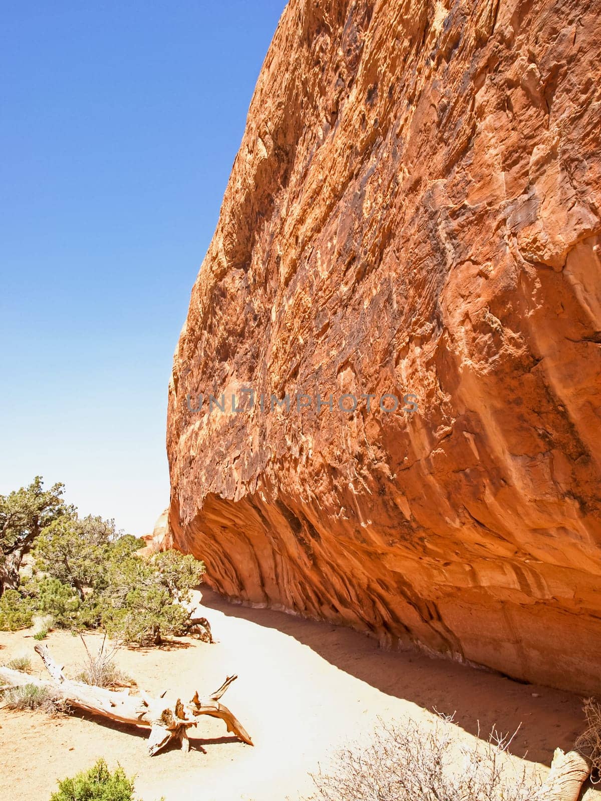 Nature National Park, Utah. The landscape and rocks. Roads and propinki Park, Utah.