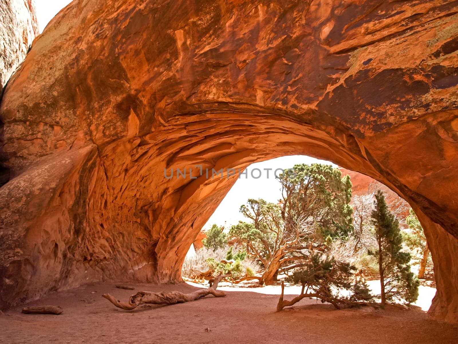 Nature National Park, Utah. The landscape and rocks. Roads and propinki Park, Utah.
