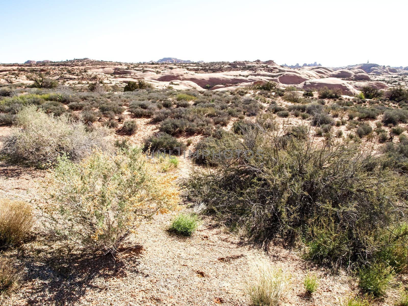 Nature National Park, Utah. The landscape and rocks. Roads and propinki Park, Utah.