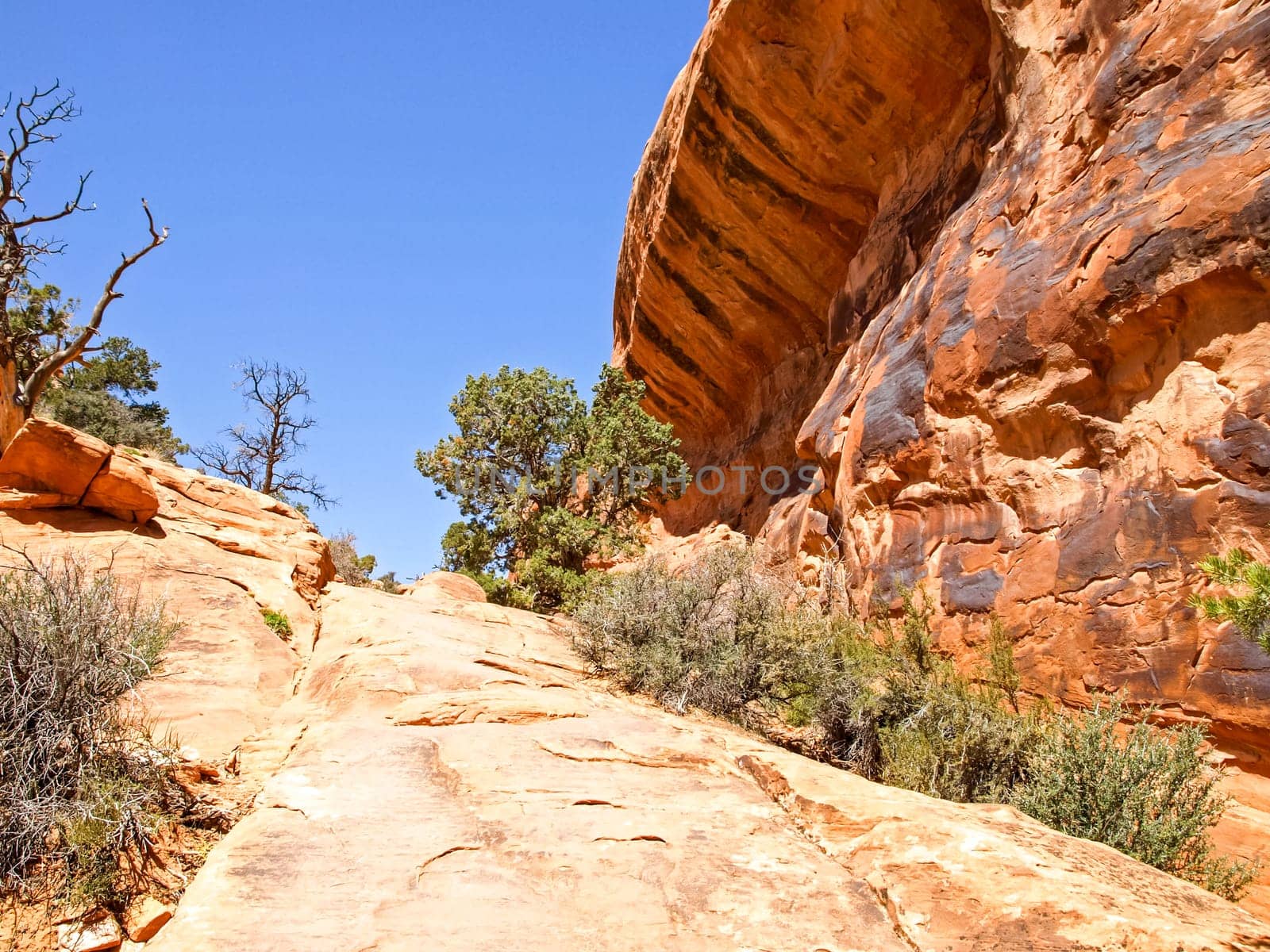 Nature National Park, Utah. The landscape and rocks. Roads and propinki Park, Utah.