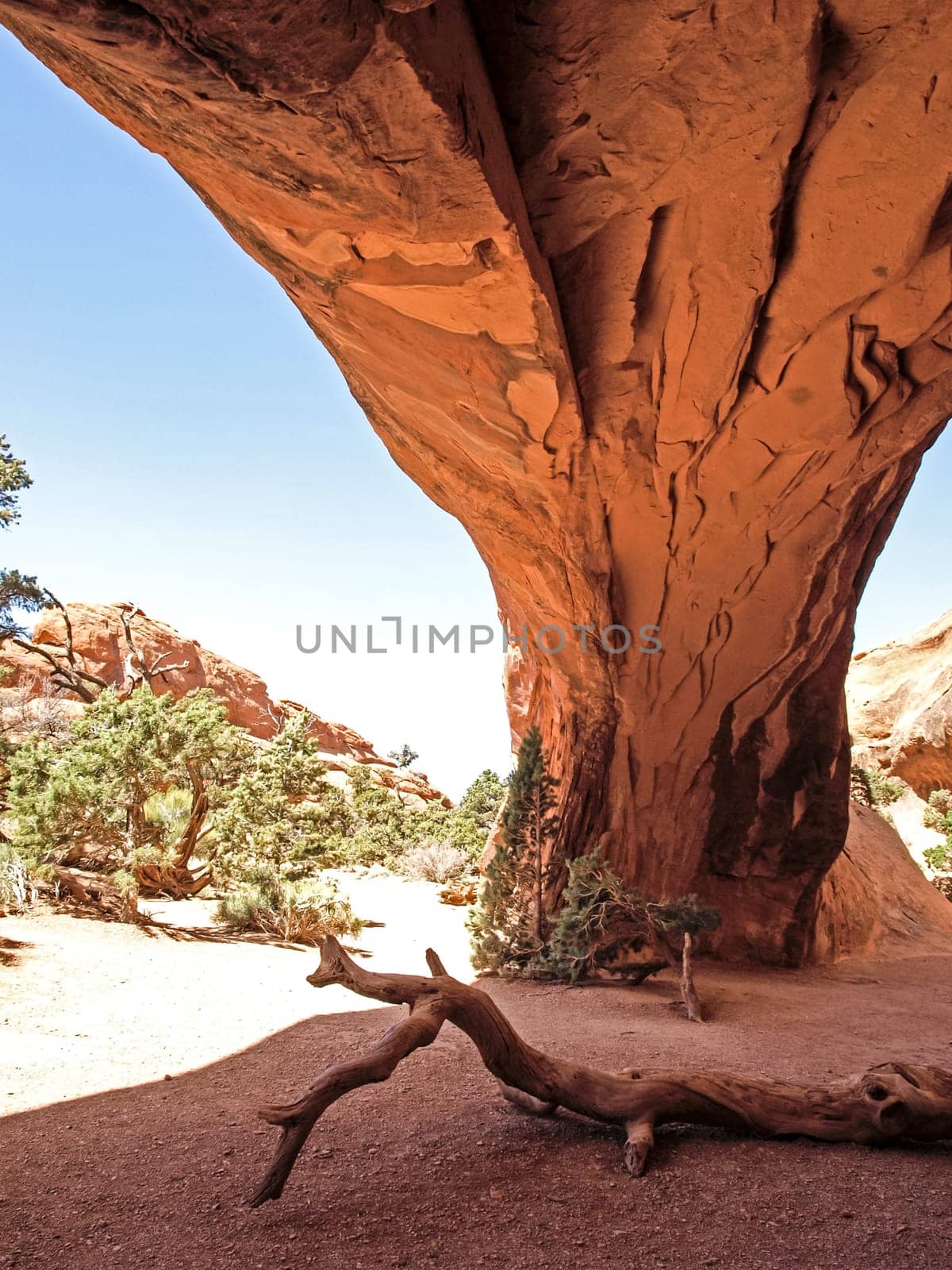 Nature National Park, Utah. The landscape and rocks. Roads and propinki Park, Utah.