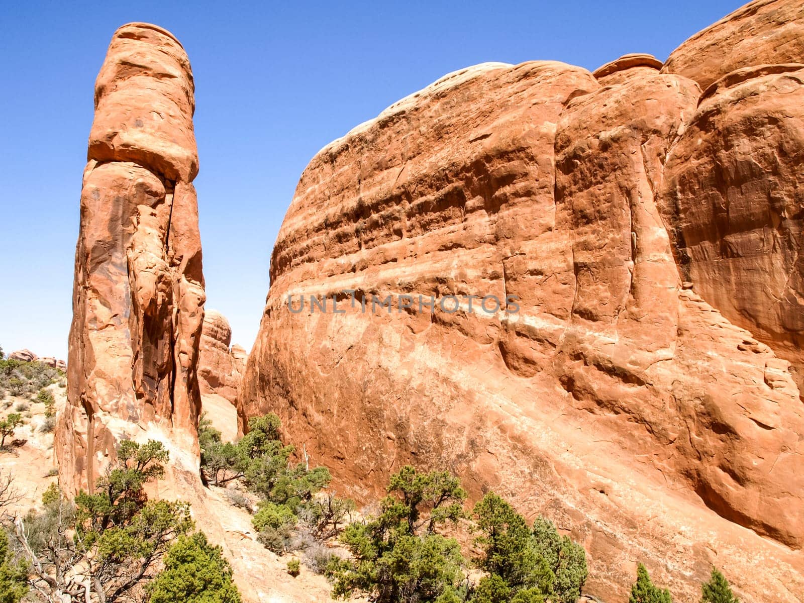 Nature National Park, Utah. The landscape and rocks. Roads and propinki Park, Utah.
