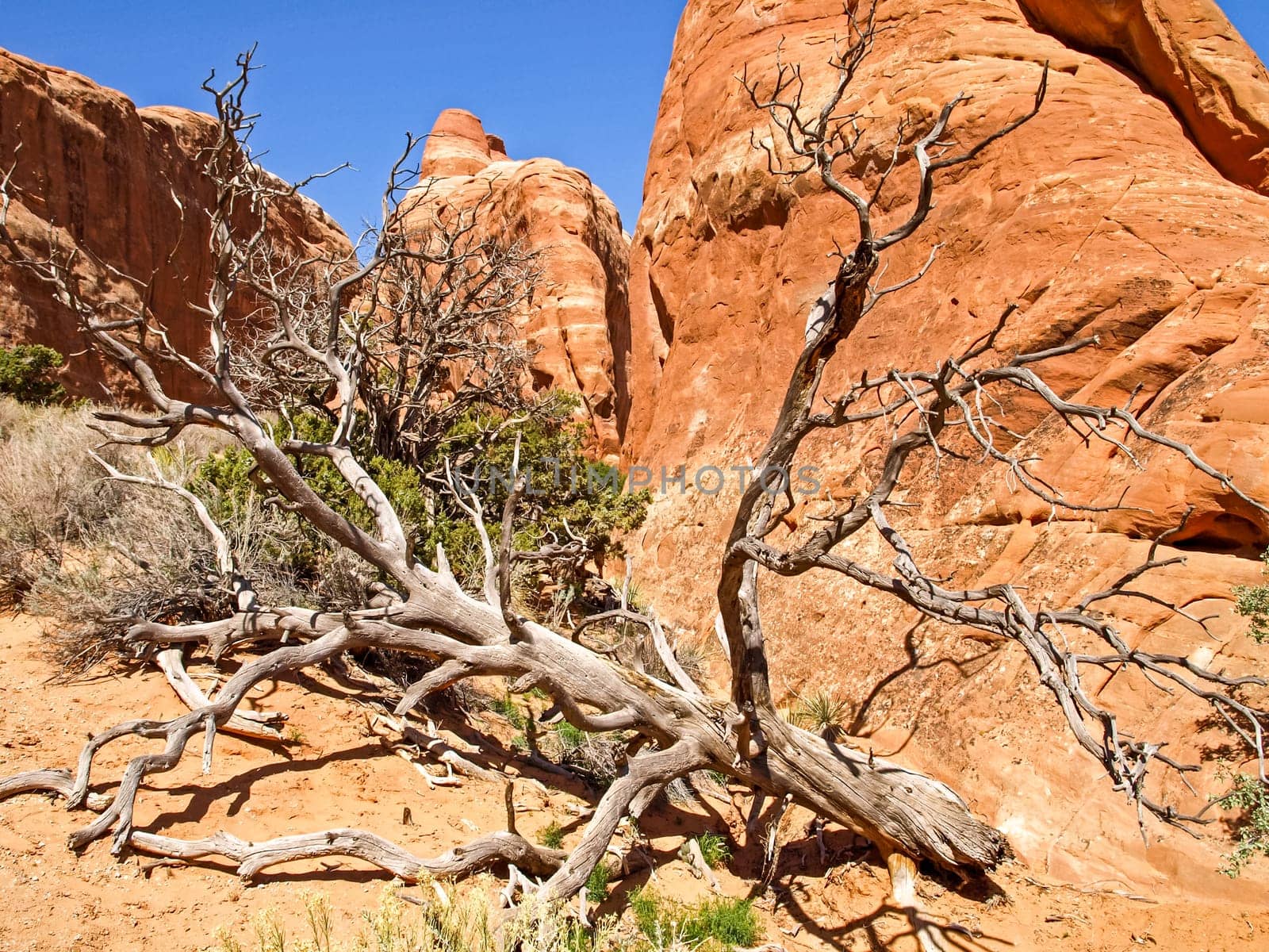 Nature National Park, Utah. The landscape and rocks. Roads and propinki Park, Utah.