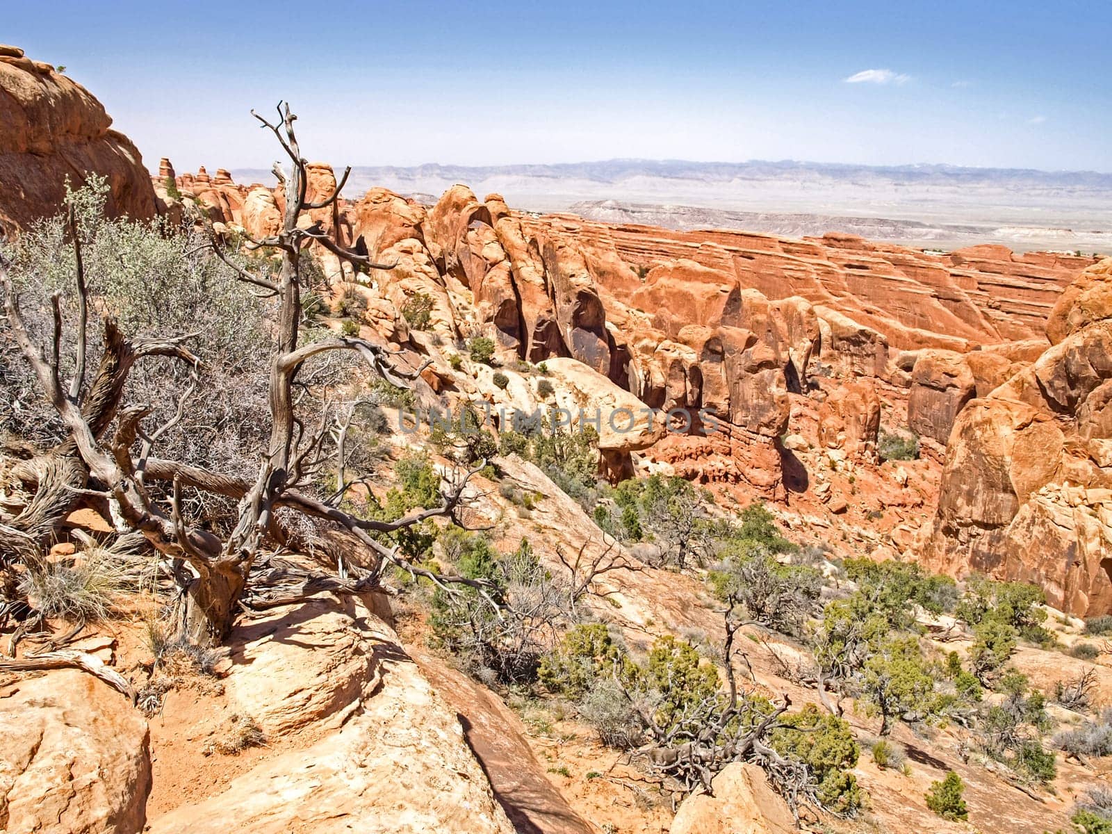 Nature National Park, Utah. The landscape and rocks. Roads and propinki Park, Utah.
