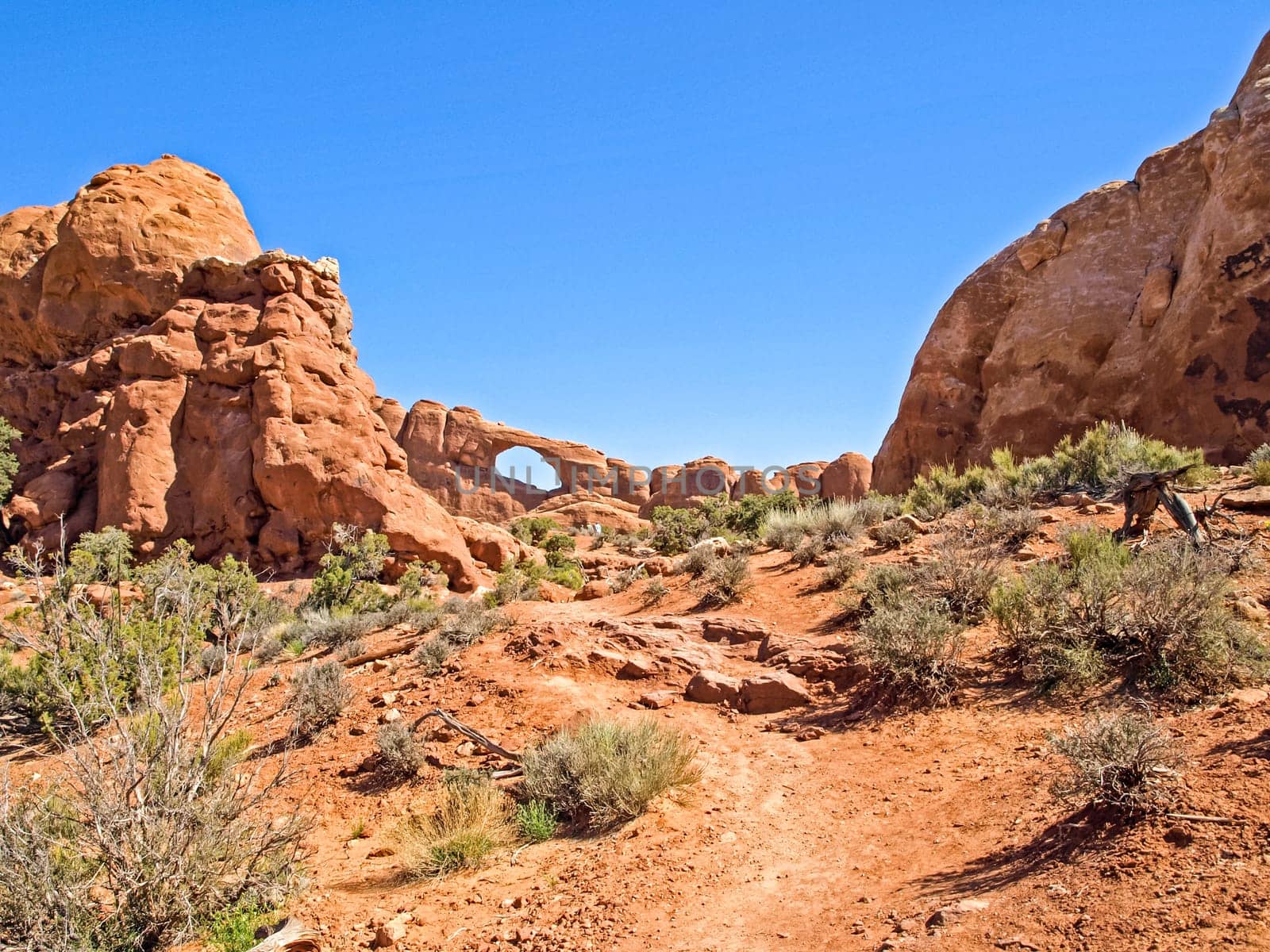 Nature National Park, Utah. The landscape and rocks. Roads and propinki Park, Utah.