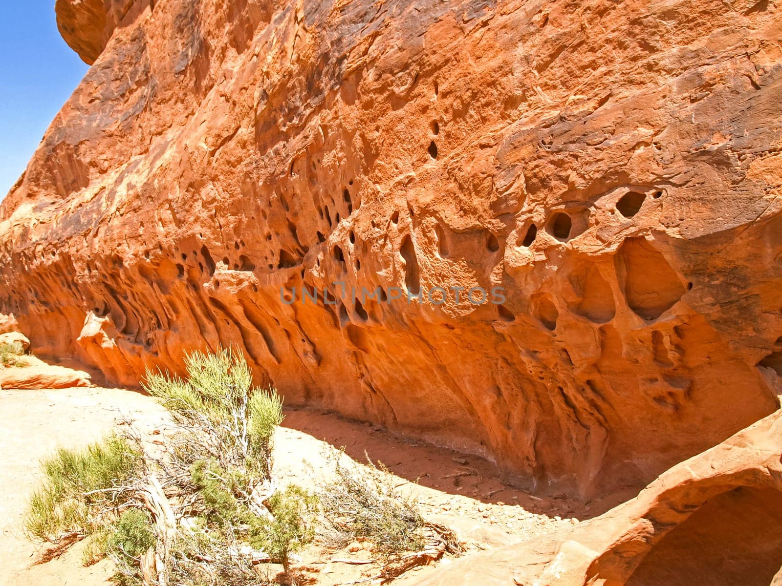 Nature National Park, Utah. The landscape and rocks. Roads and propinki Park, Utah.