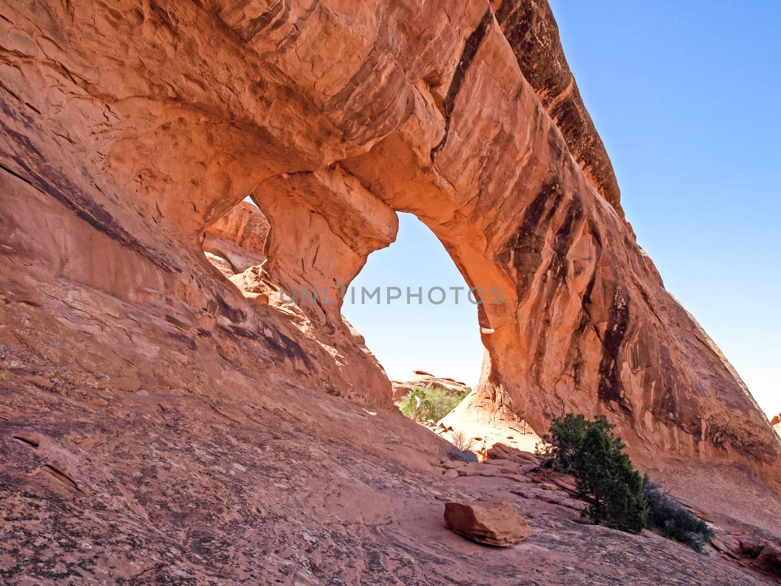 Nature National Park, Utah. The landscape and rocks. Roads and propinki Park, Utah.