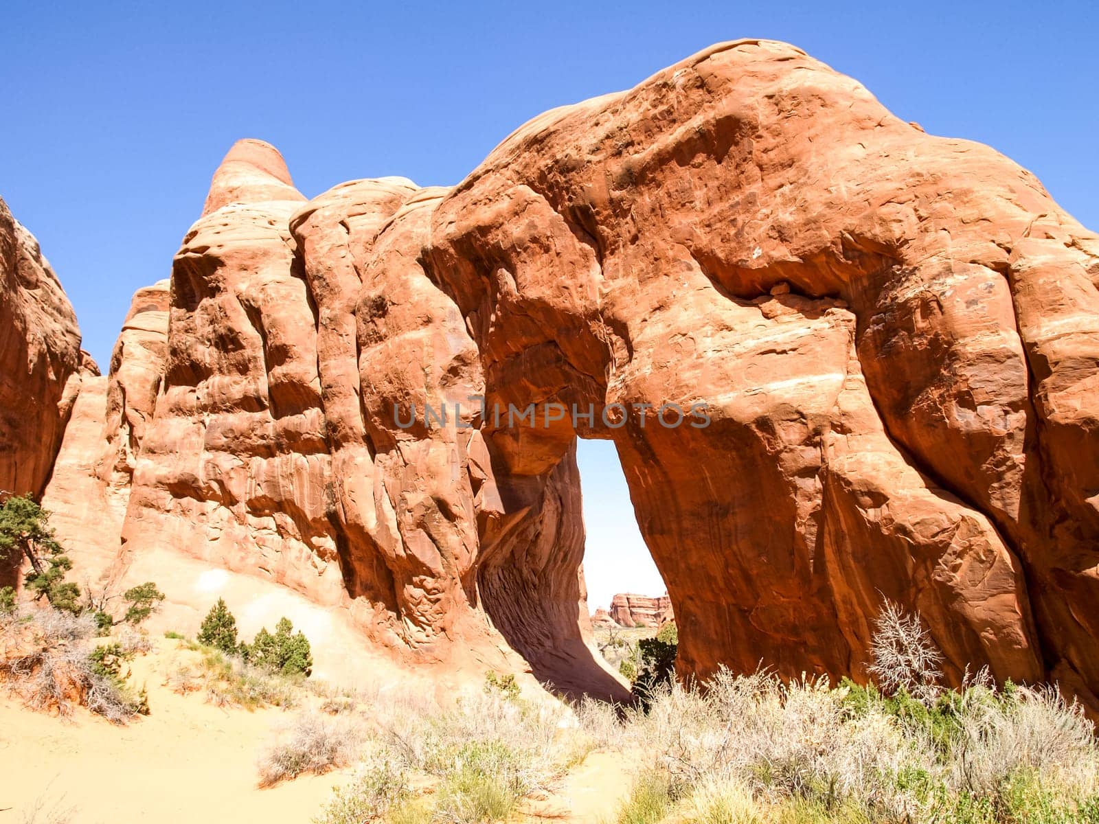 Nature National Park, Utah. The landscape and rocks. Roads and propinki Park, Utah.