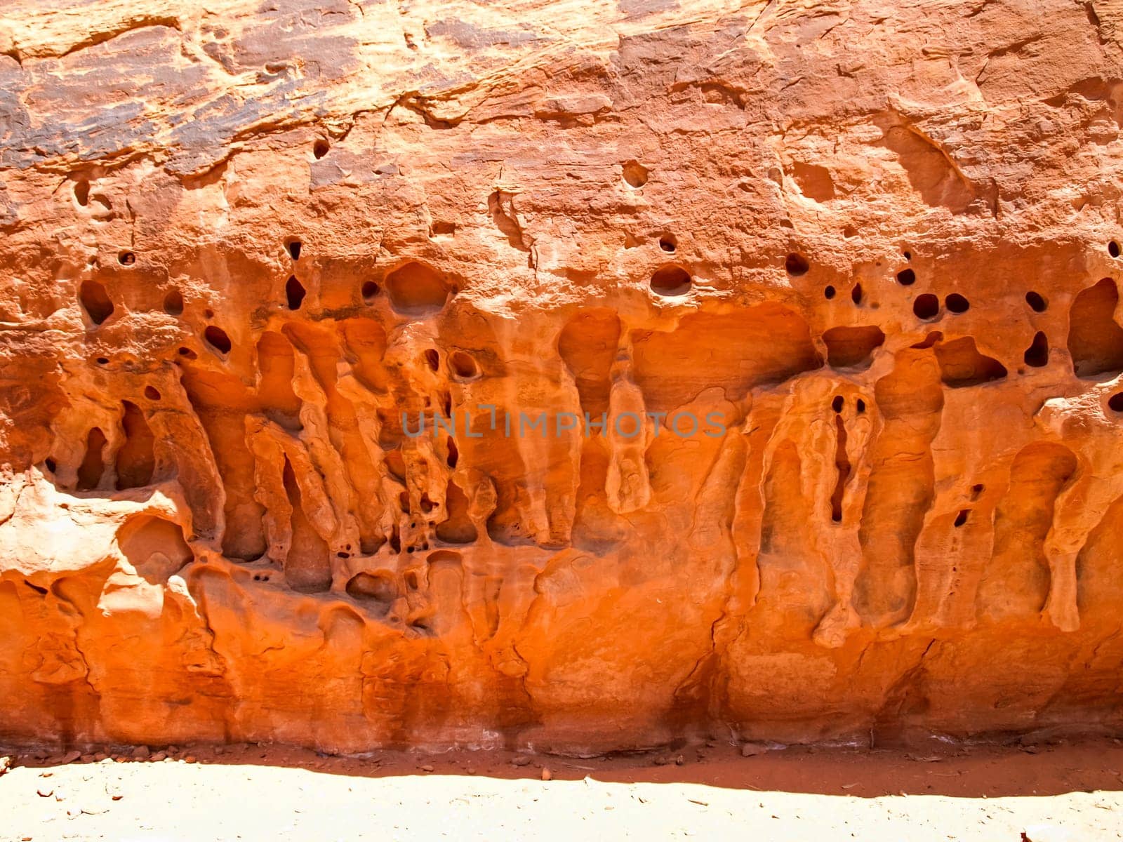 Nature National Park, Utah. The landscape and rocks. Roads and propinki Park, Utah.