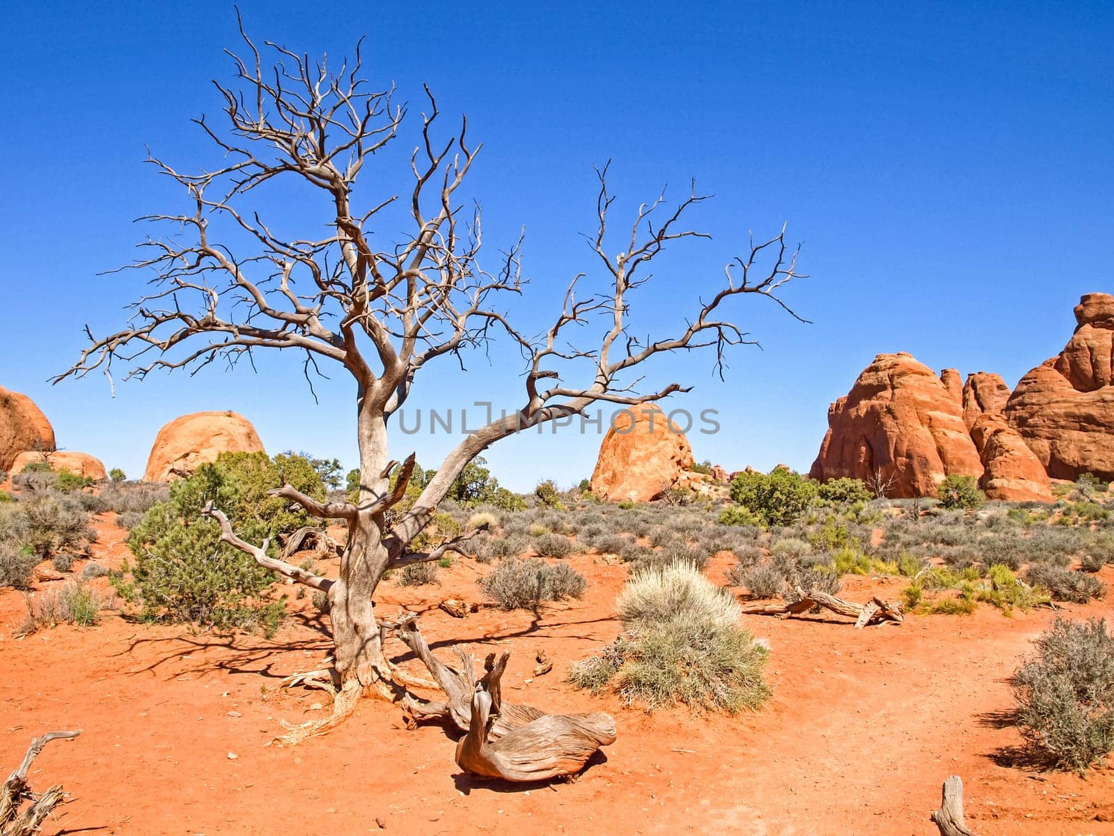 Nature National Park, Utah. The landscape and rocks. Roads and propinki Park, Utah.