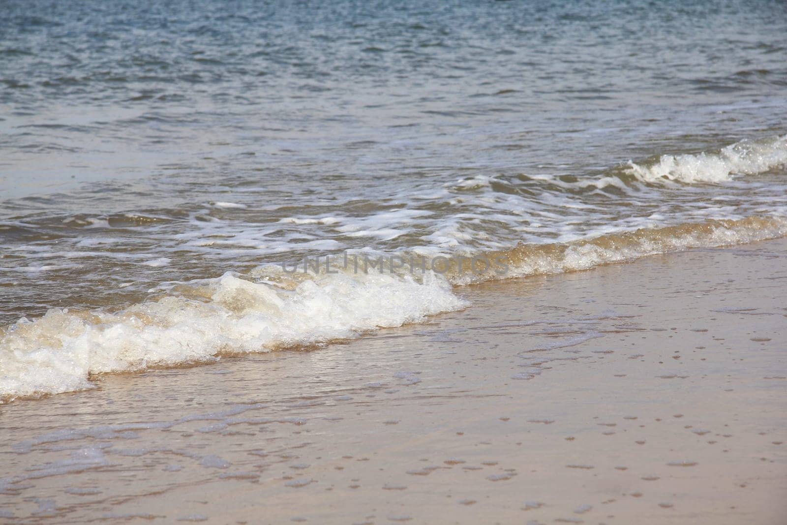 Waves with white foam crowns roll over the surface of the sea.