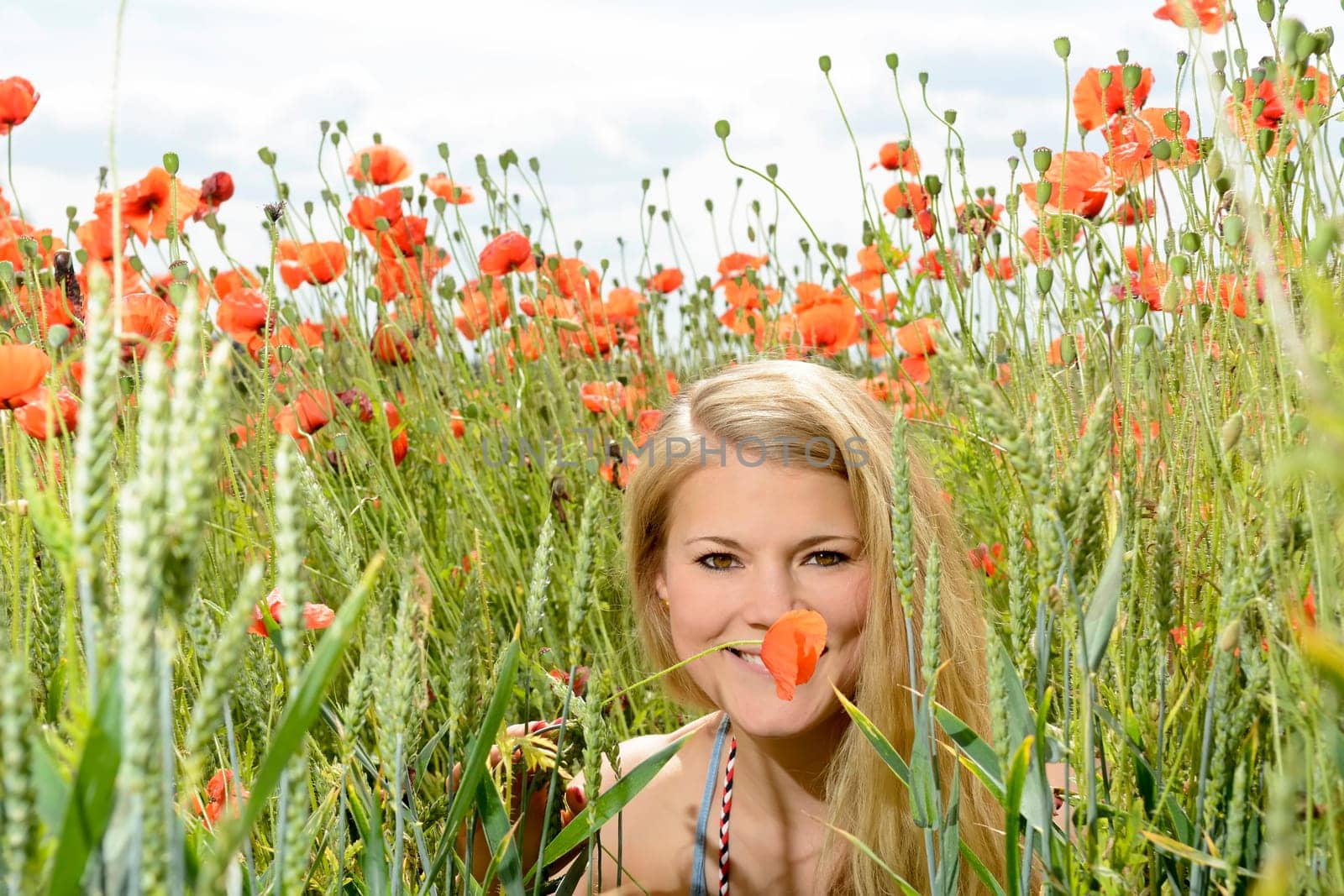 Woman in the poppy field