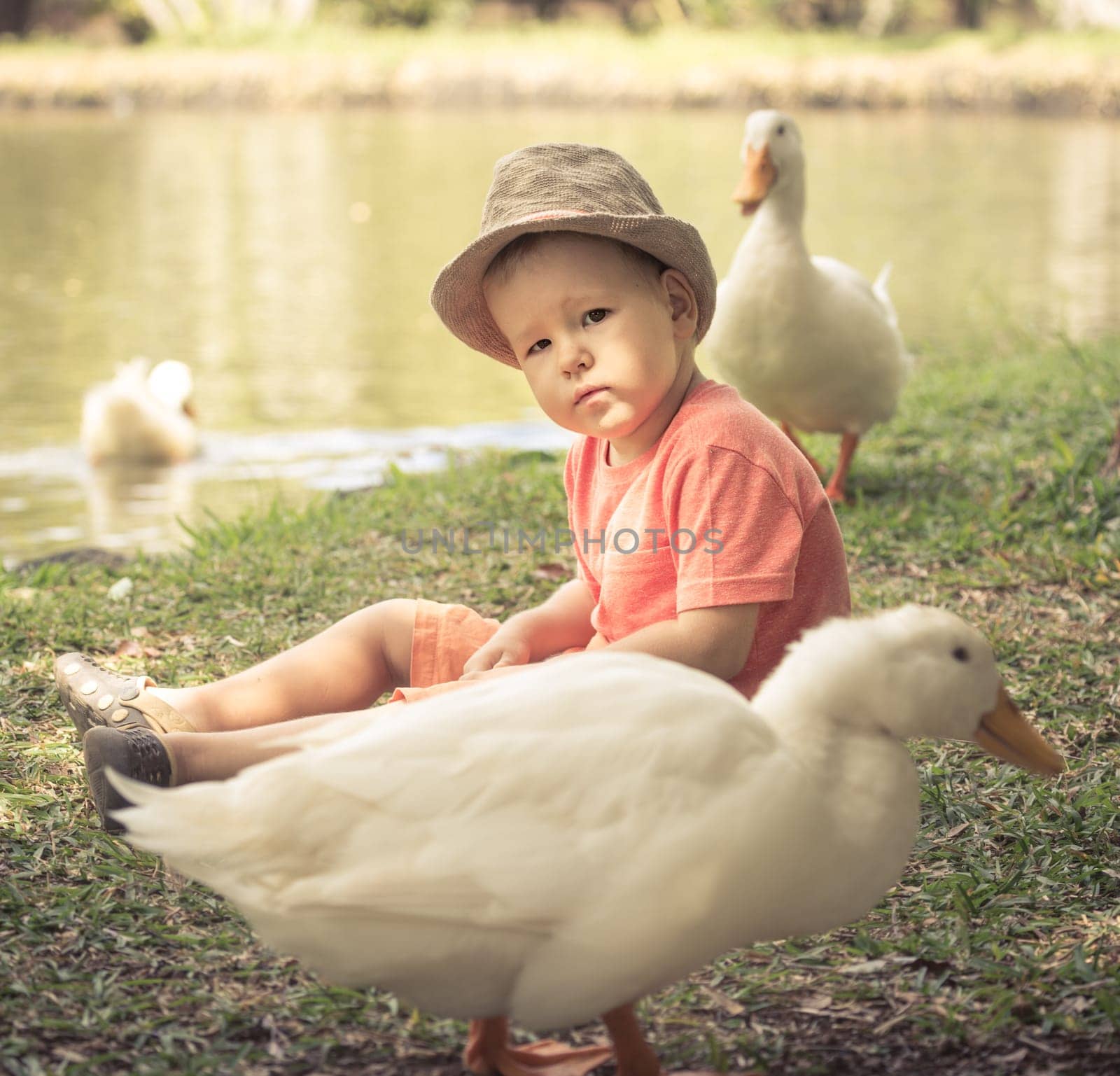 Boy and geese near lake. Mauritius