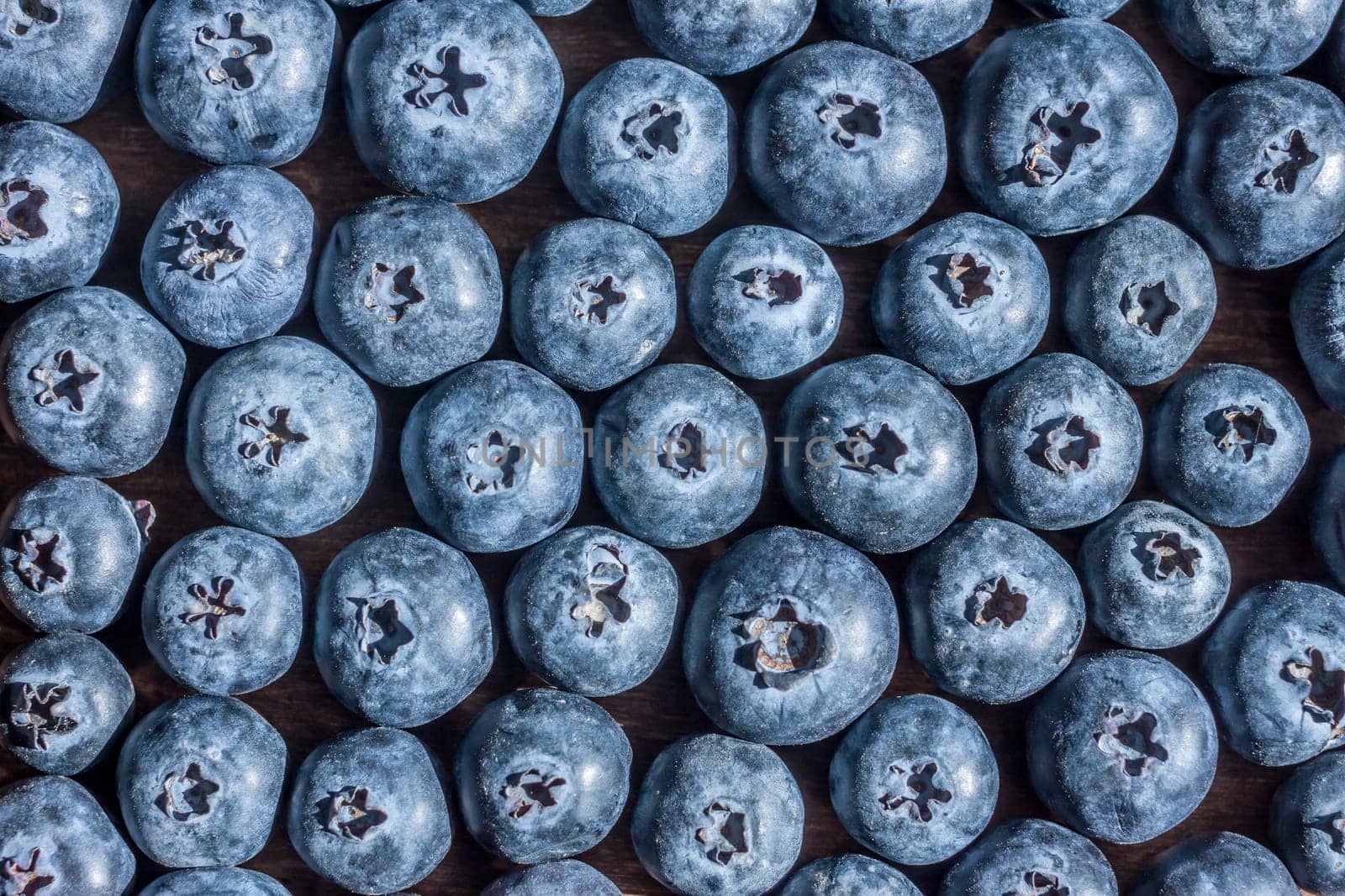 fresh big delicious blueberries in sun light