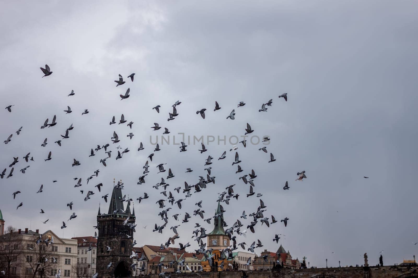 birds flying over Prague old town on cloudy sky background