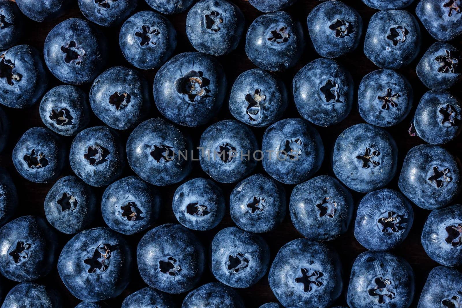 fresh big delicious blueberries in sun light