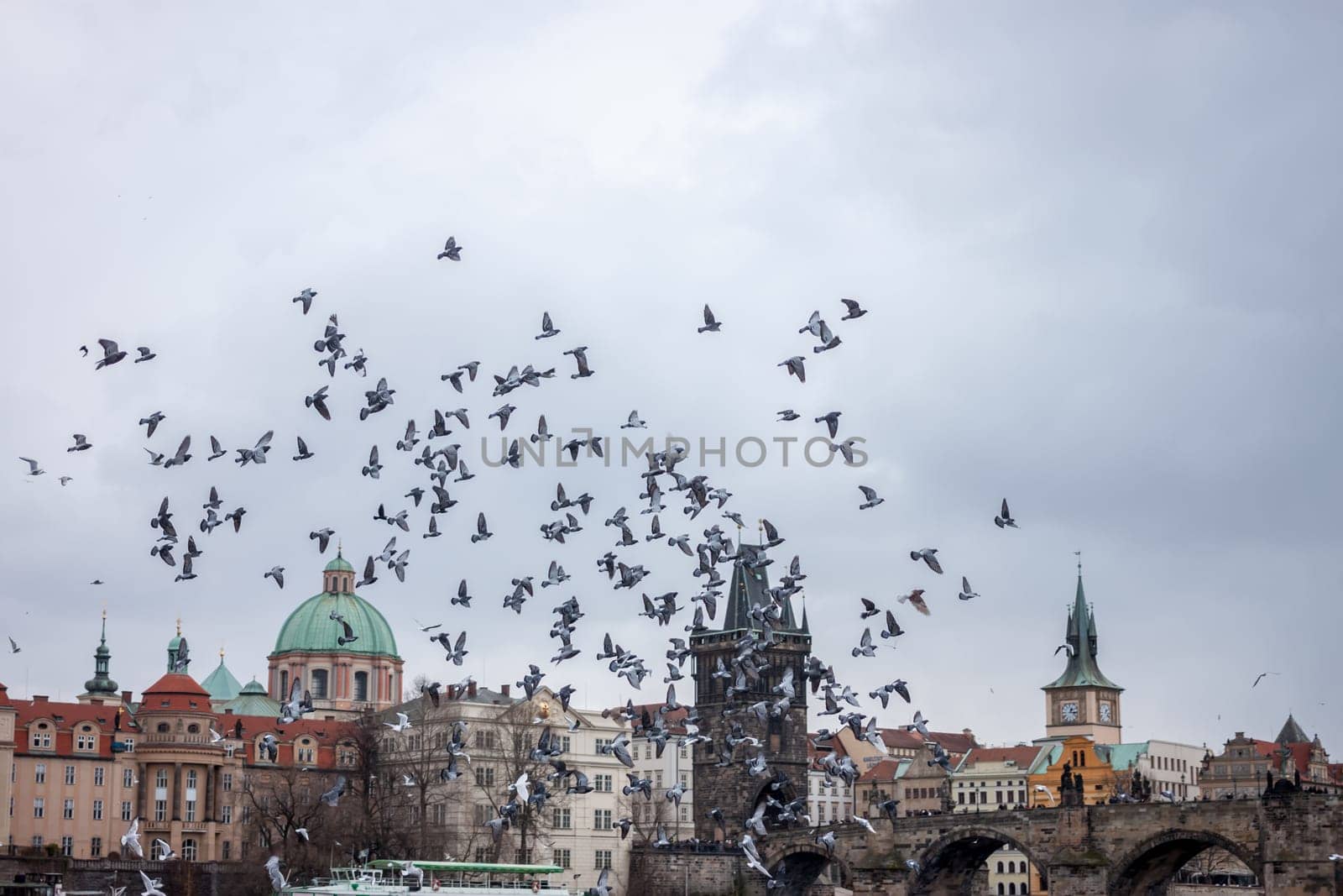 birds flying over Prague old town on cloudy sky background