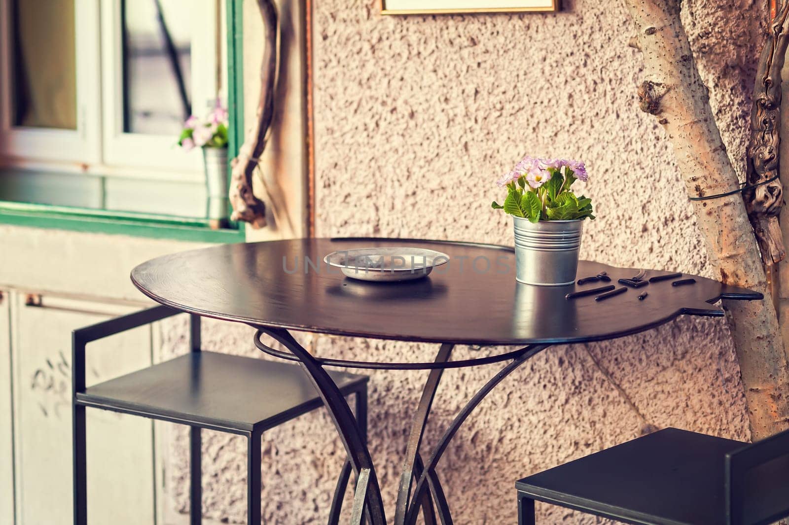 Vase with Primroses in bloom on a table outside. Selective focus. Photo in vintage style