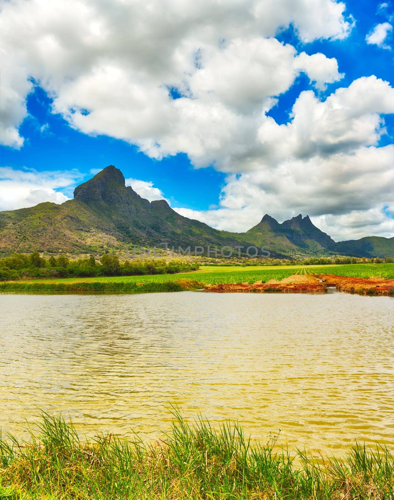 View of a sugarcane, irrigation pond and mountains. Mauritius island. Panorama