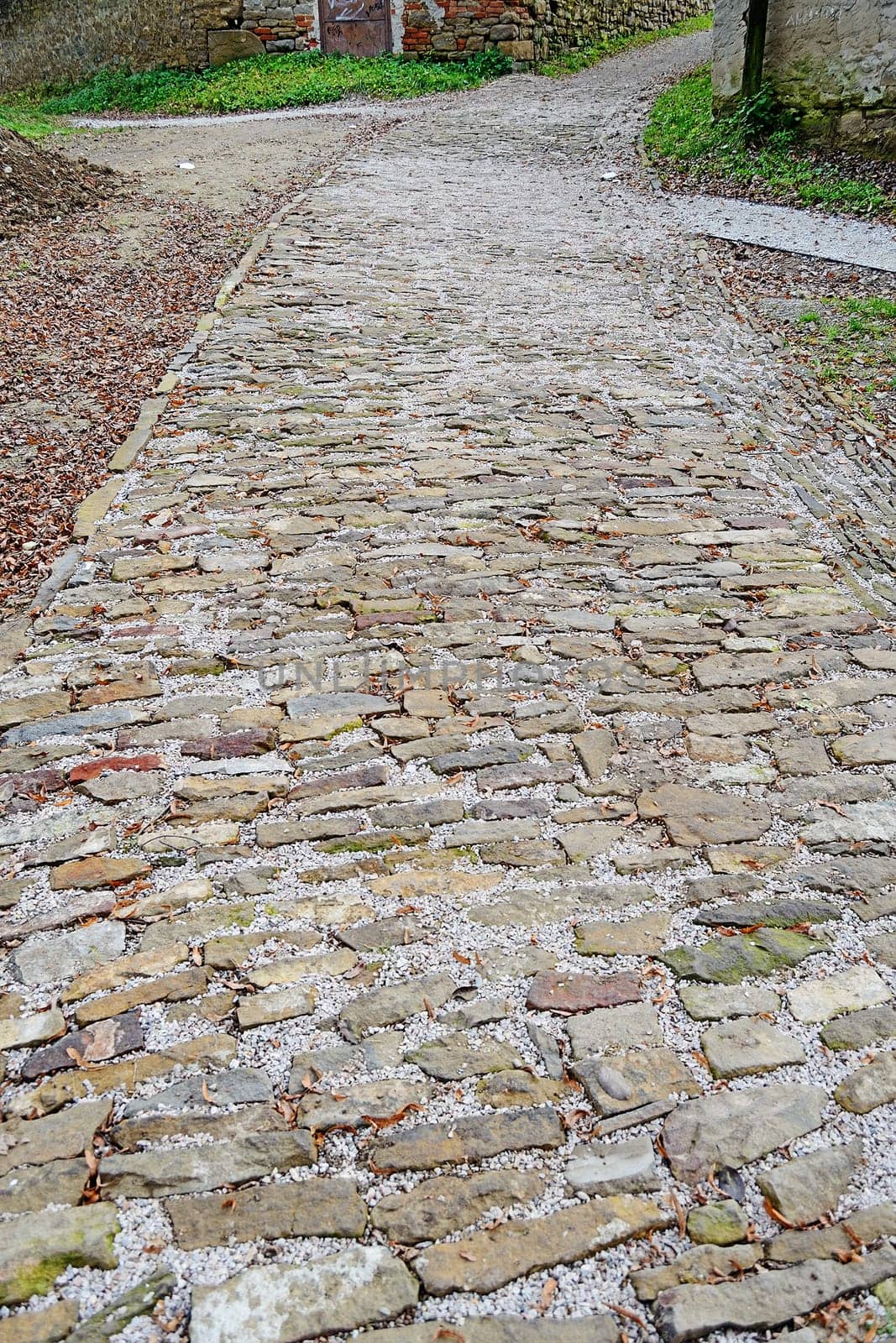 Walkway in park with people
