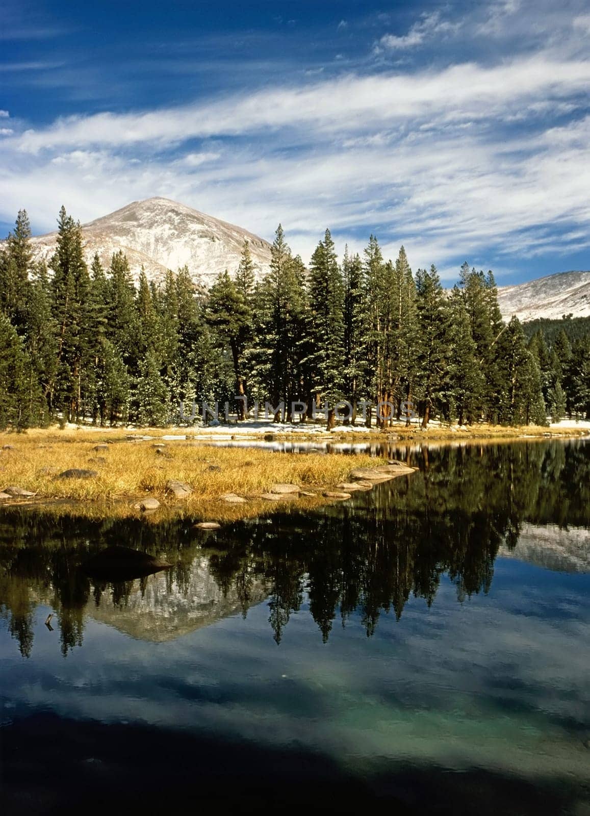 Mt.Gibbs, Yosemite National Park