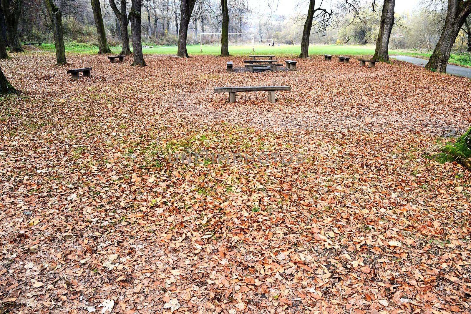 Picnic Area in forest with football palyground