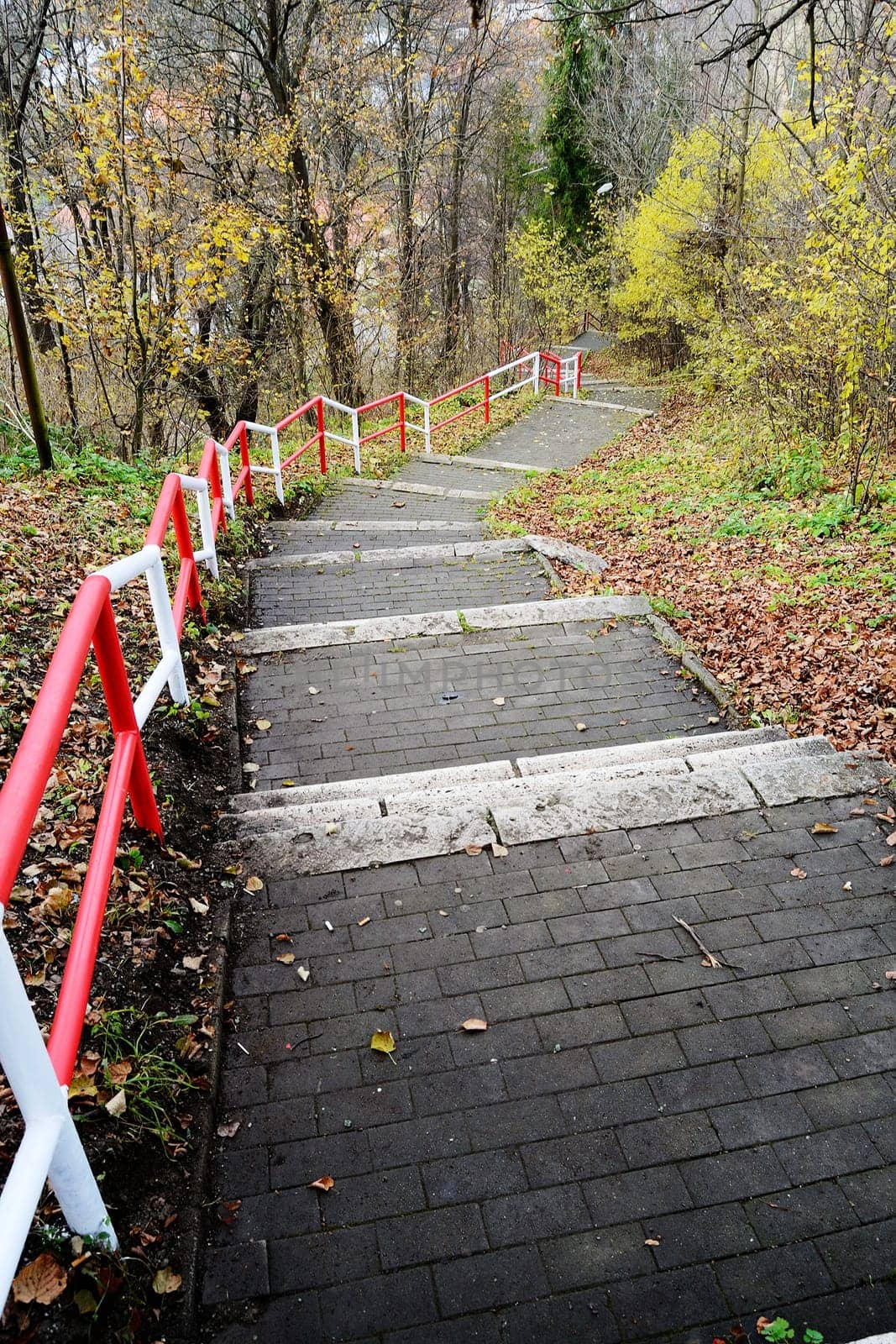 Stairs on the hill in autumn park