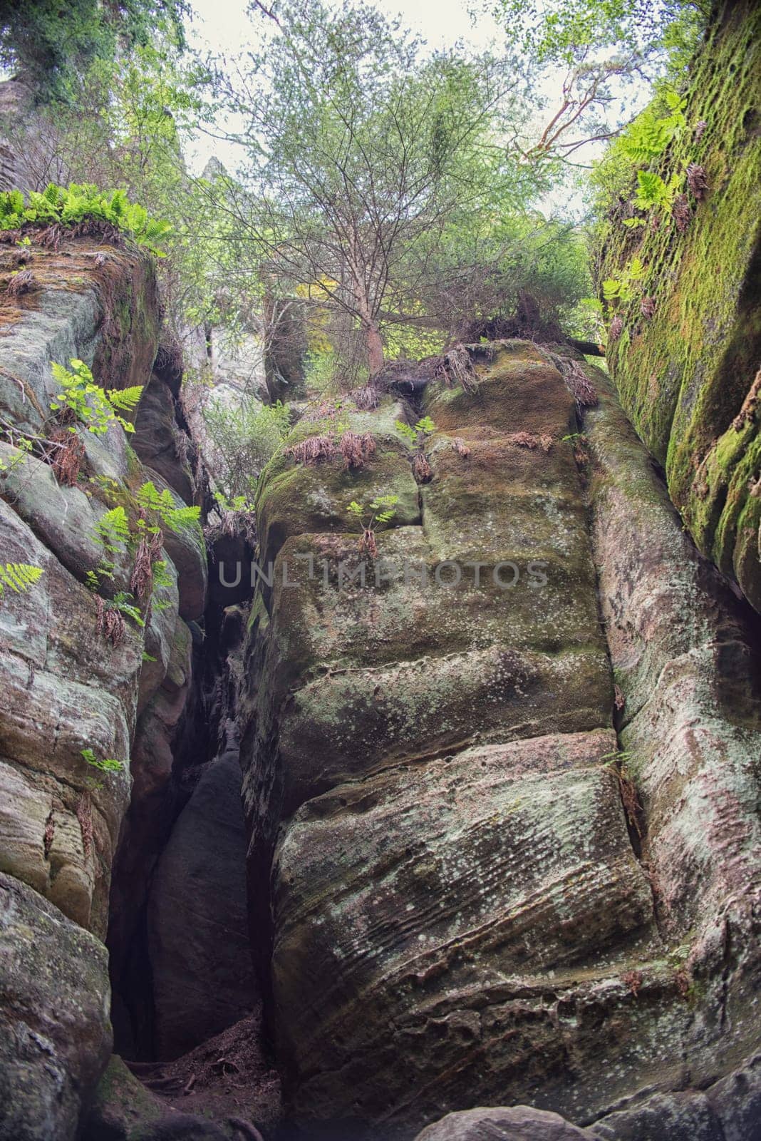 protected rock city in nature,adrspach,czech republic
