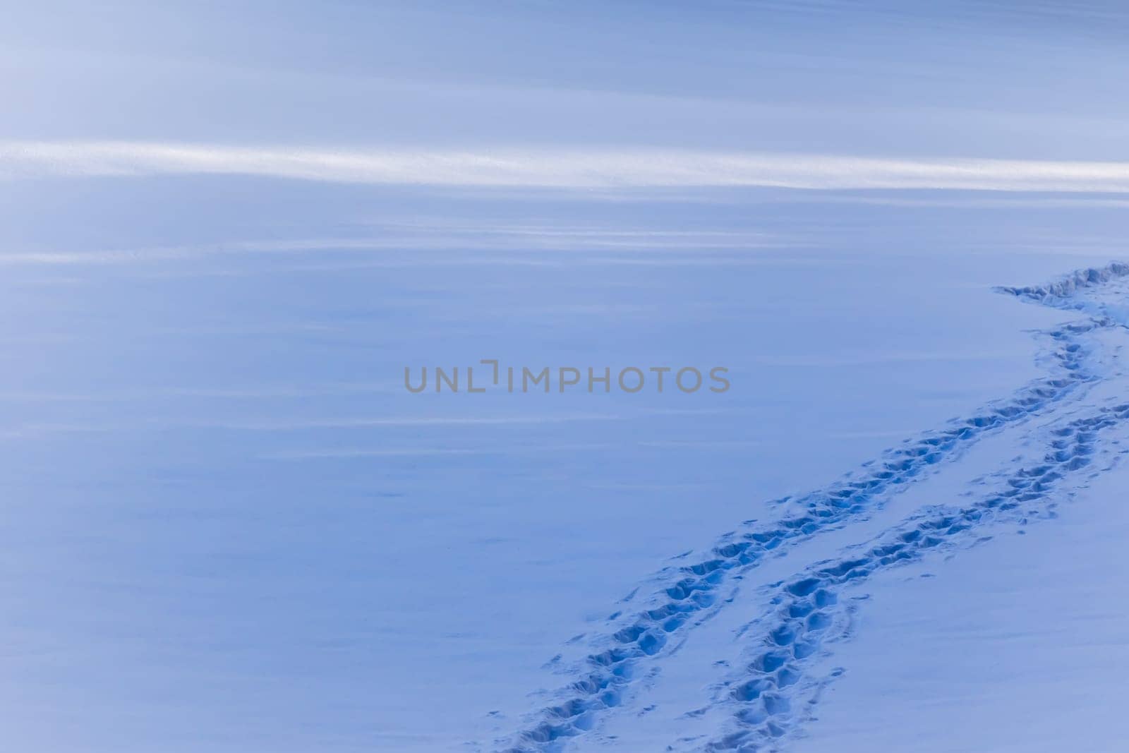 Two snow-covered paths. Side by side with nice perspective and a lot of copy space. Winter is coming.