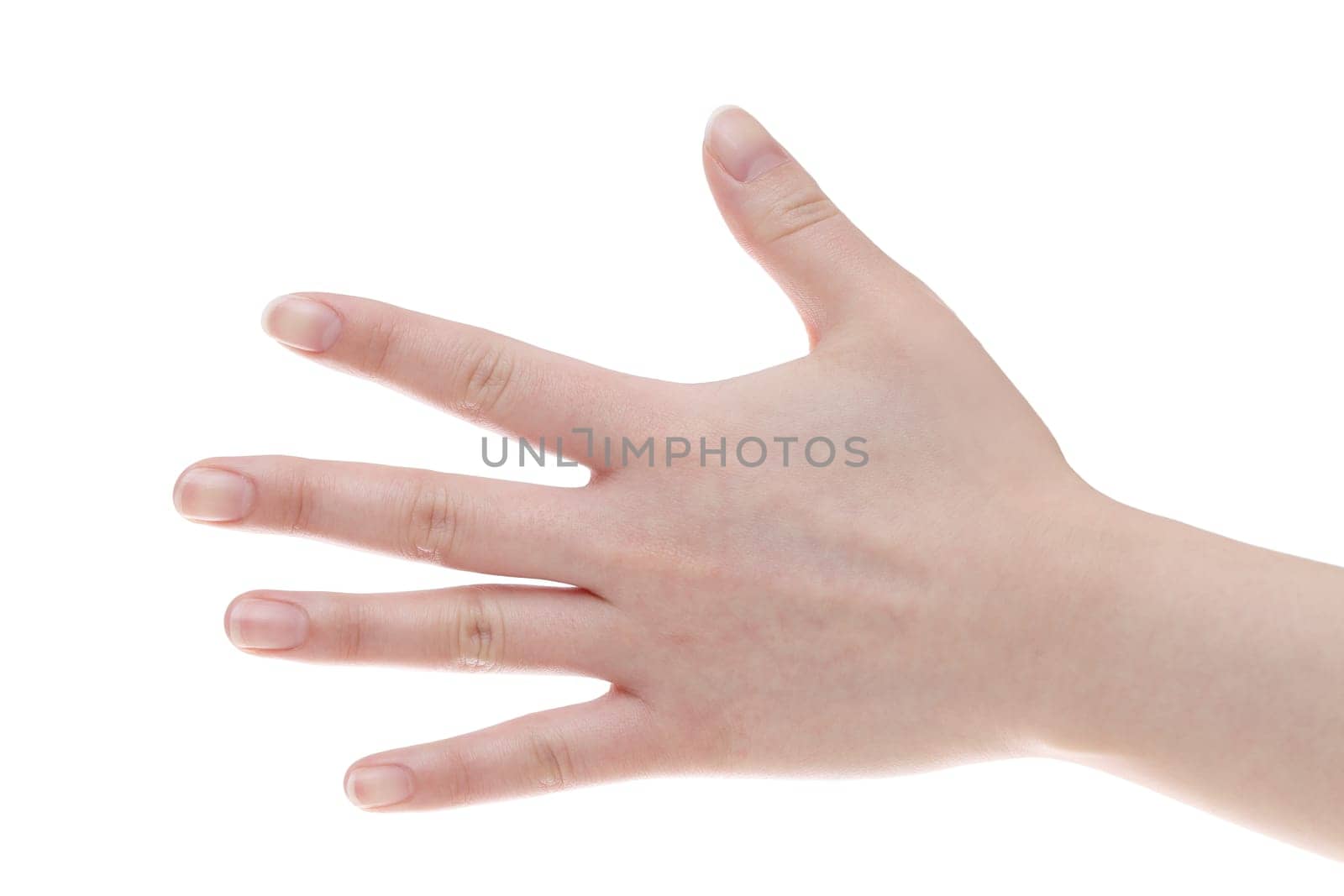 woman hand palm closeup isolated on white background