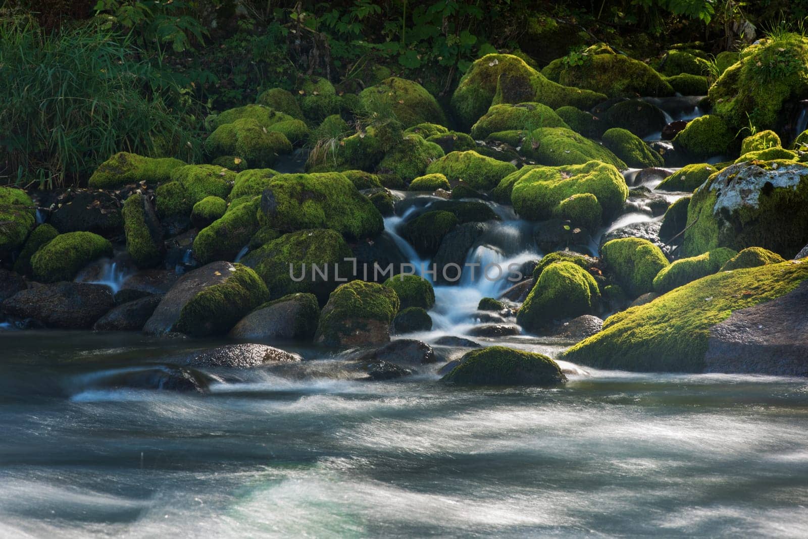 Fast mountain river with the purest water in Altay mountains, Siberia, Russia