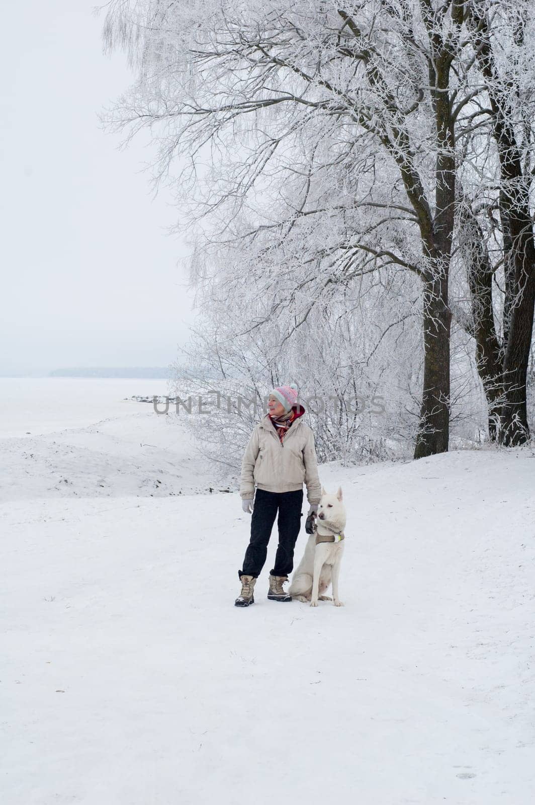Woman walking with a dog in winter