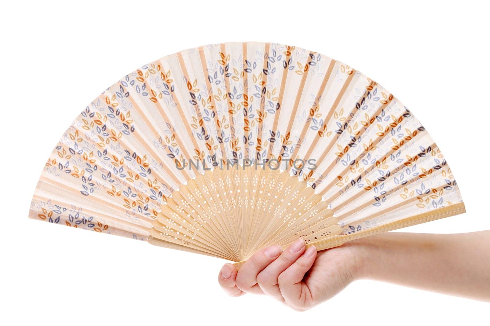Hand holding chinese fan on a white background