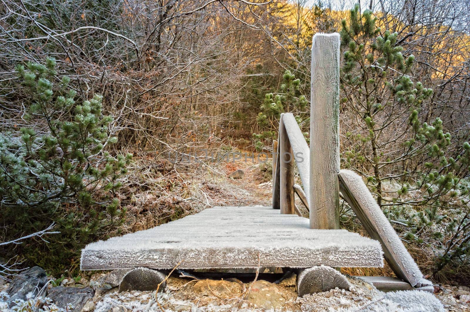 Wooden bridge by a footpath. Covered in frost.