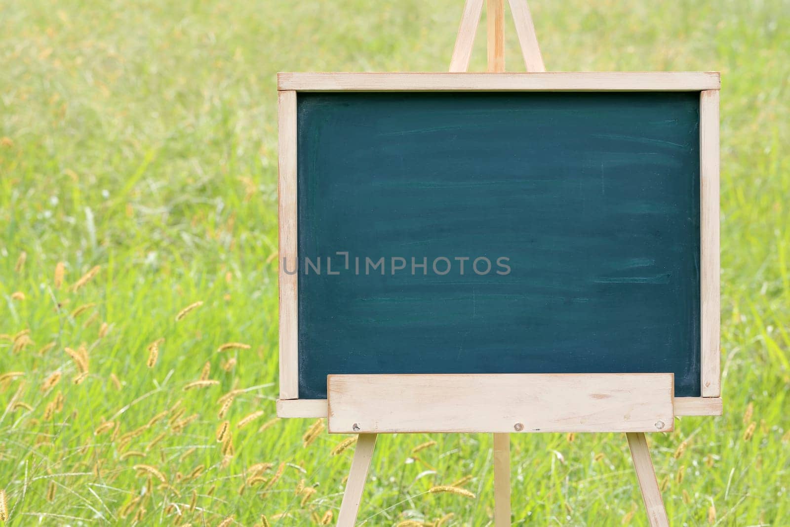 empty chalkboard with wooden easel on green field background