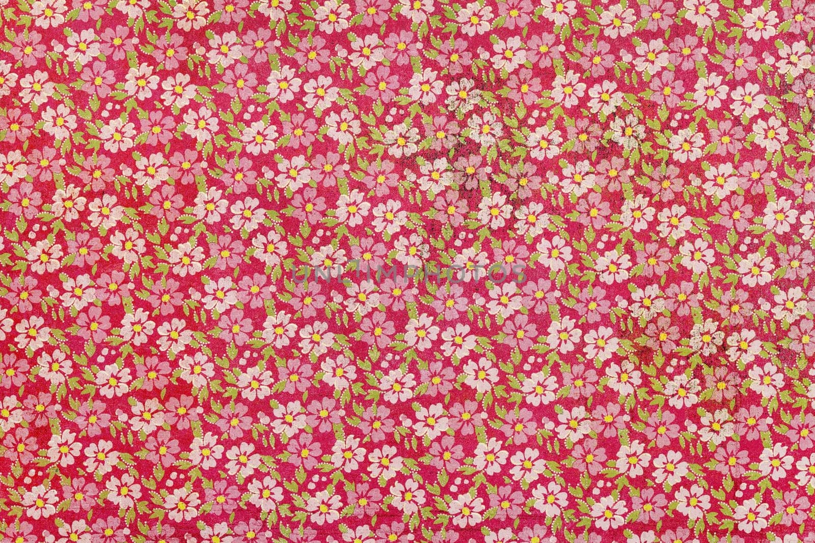 Close up of flower pattern background