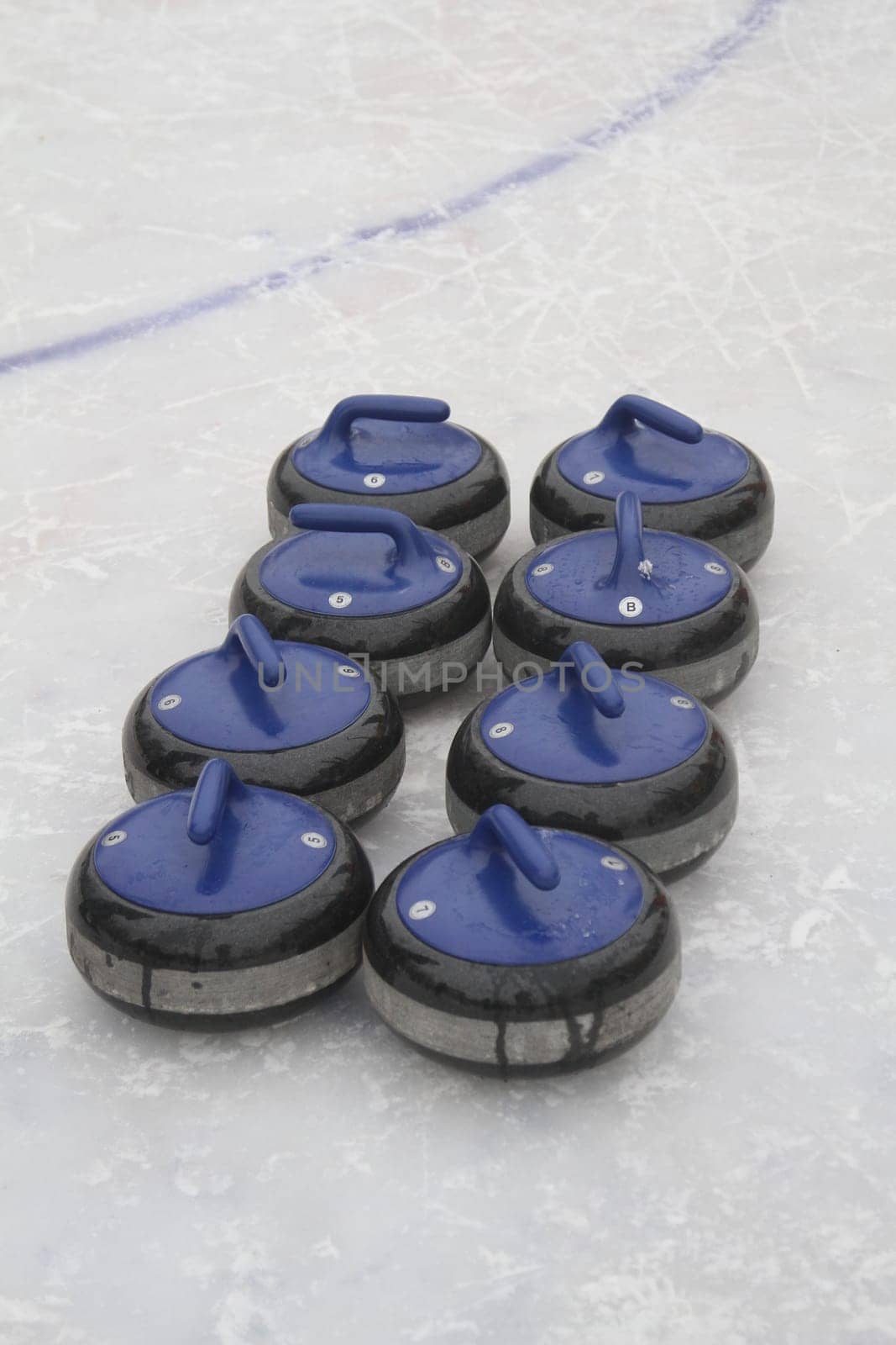Curling. Club curling fans.