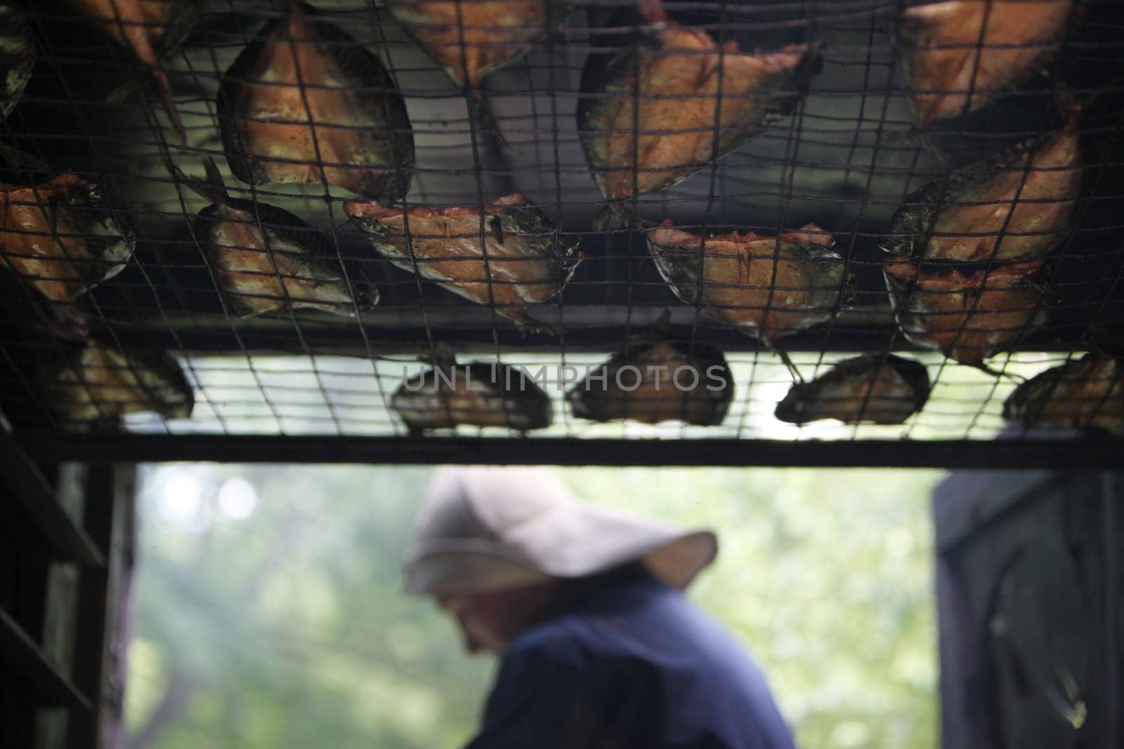 fresh fish getting smoket on a Summer Festival in a Parc in the old City of Vilnius in the Baltic State of Lithuania