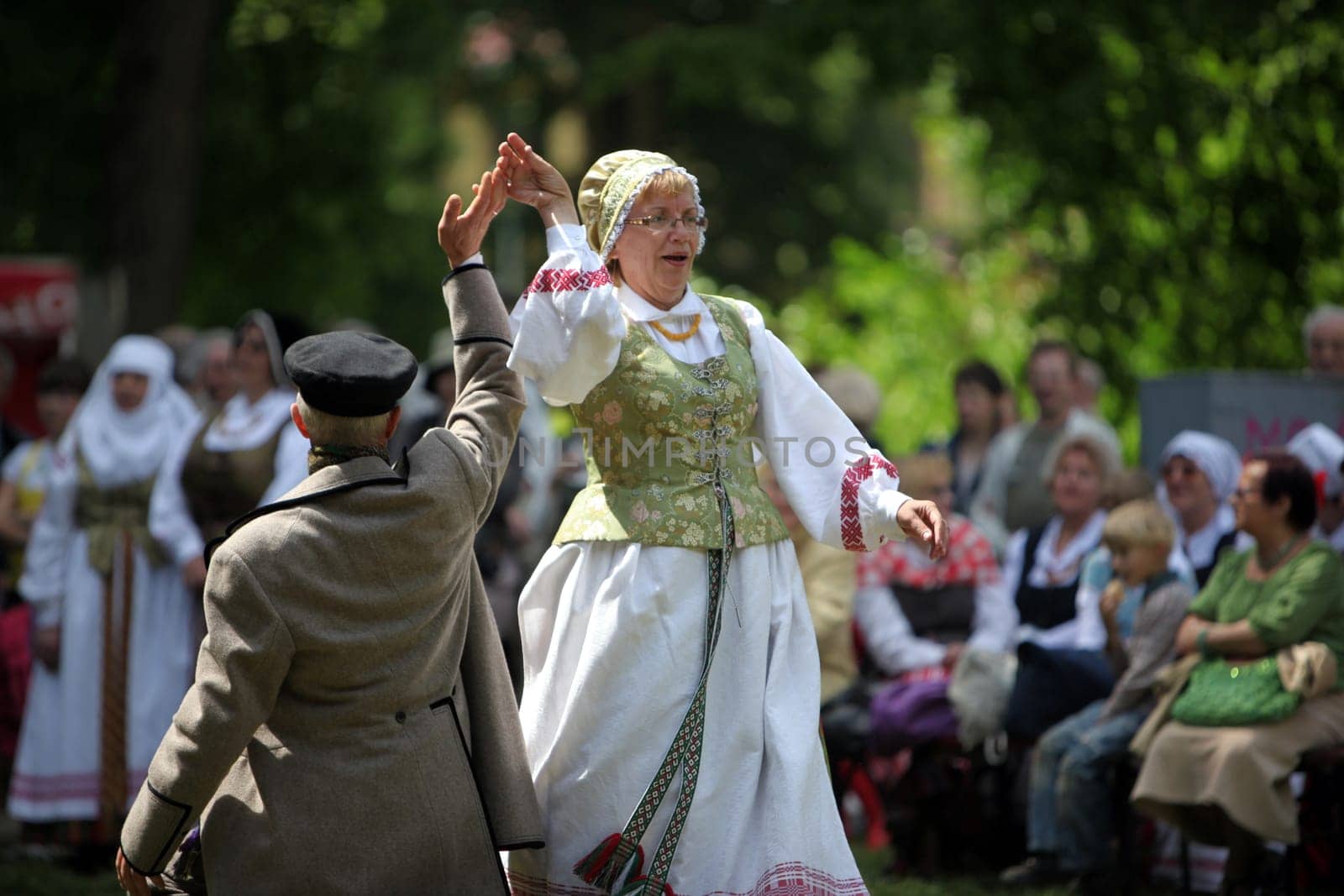 a Summer Festival in a Parc in the old City of Vilnius in the Baltic State of Lithuania