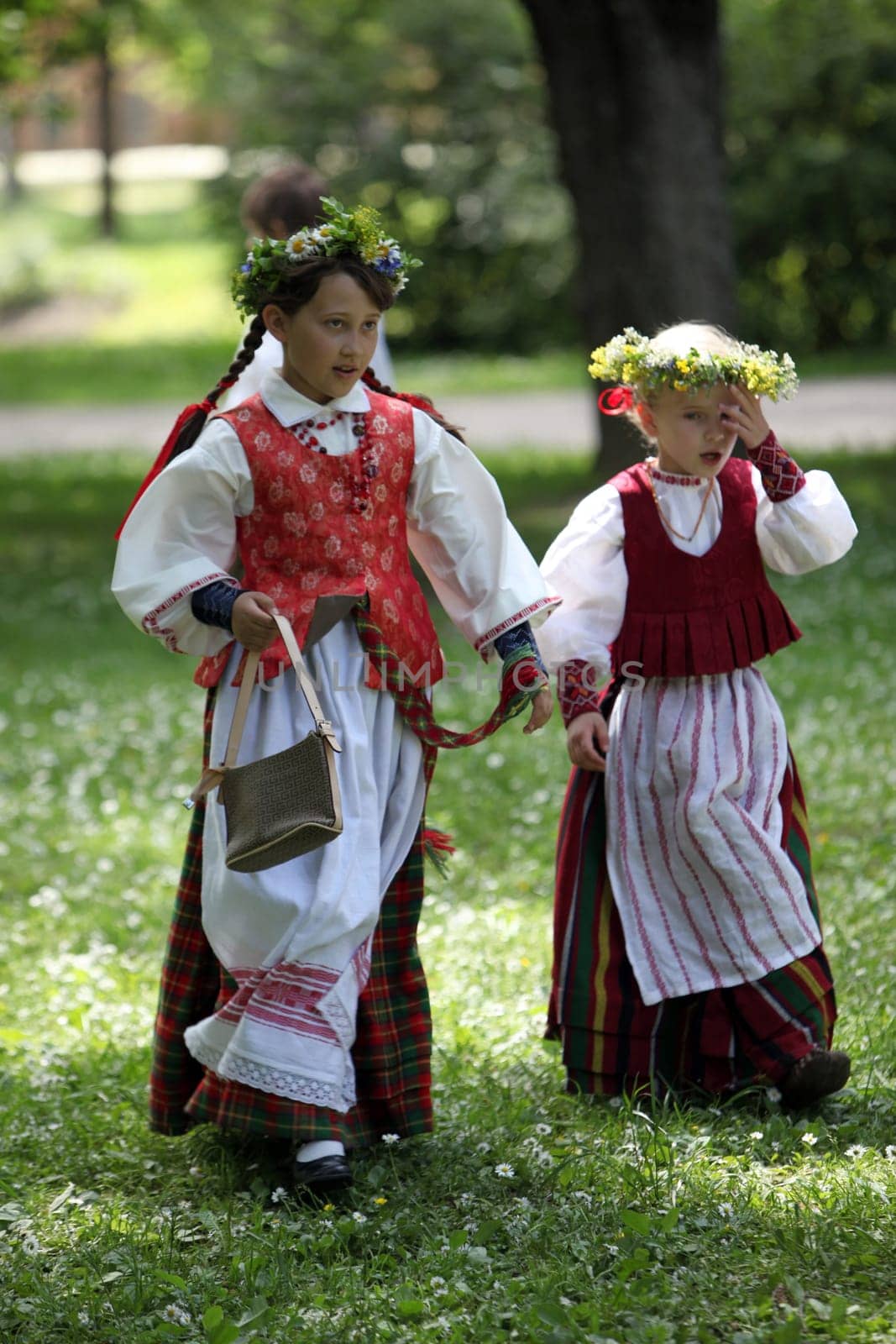 a Summer Festival in a Parc in the old City of Vilnius in the Baltic State of Lithuania