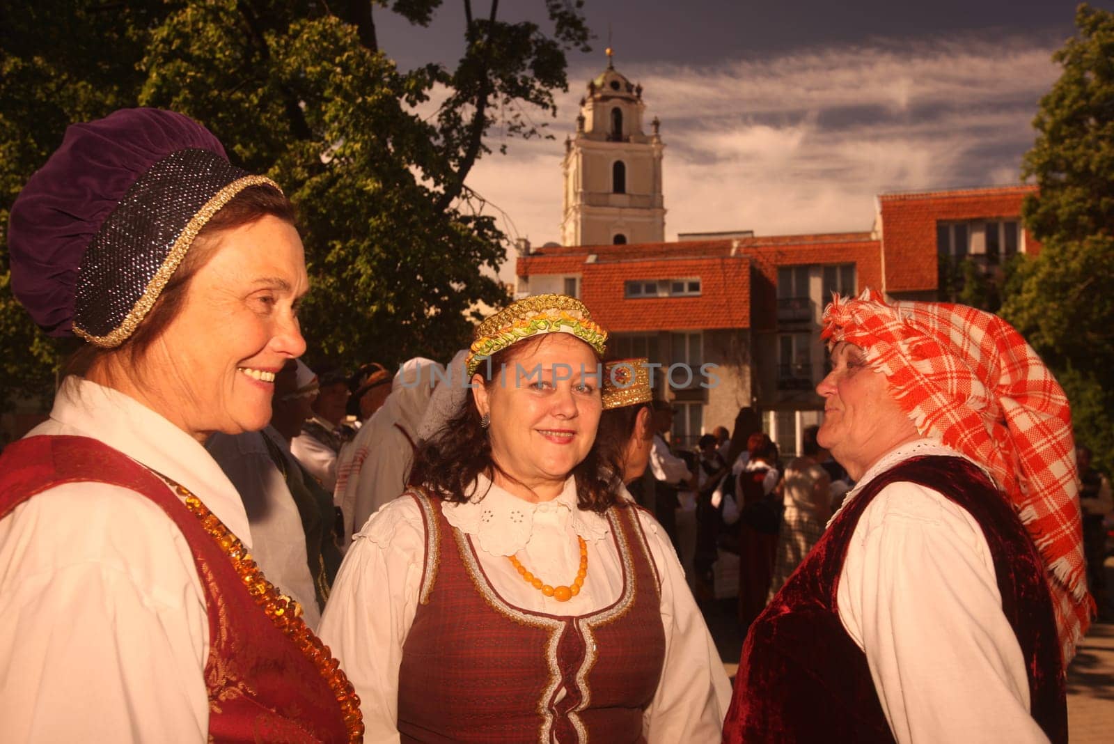 a Summer Festival in a Parc in the old City of Vilnius in the Baltic State of Lithuania