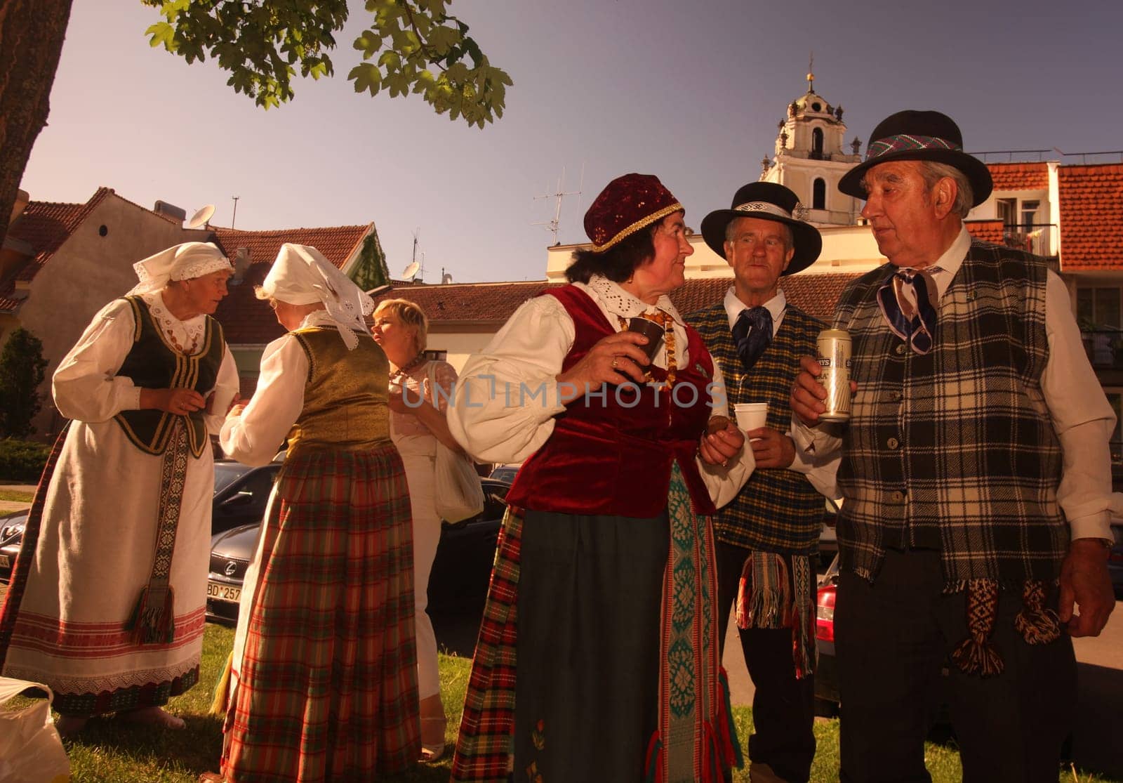 a Summer Festival in a Parc in the old City of Vilnius in the Baltic State of Lithuania