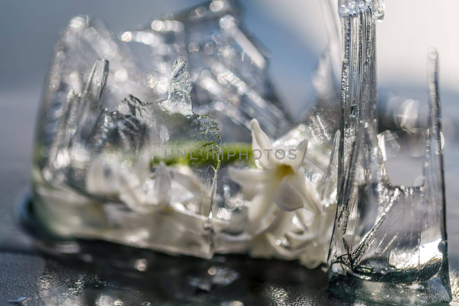 flowers in ice