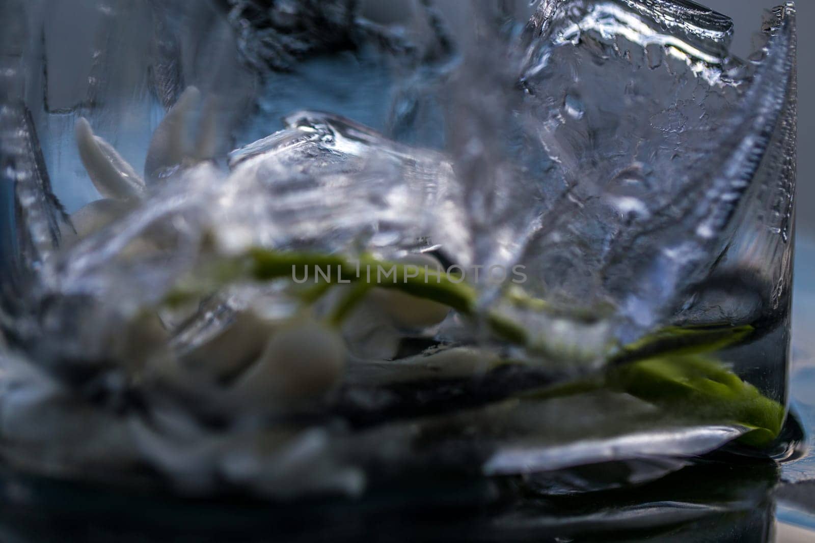 flowers in ice