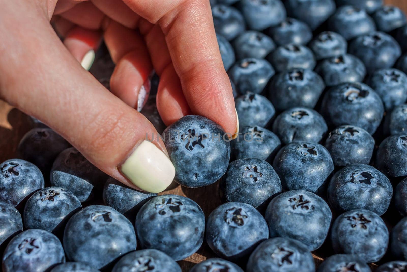 female hand picking one big fresh blueberry out of pile