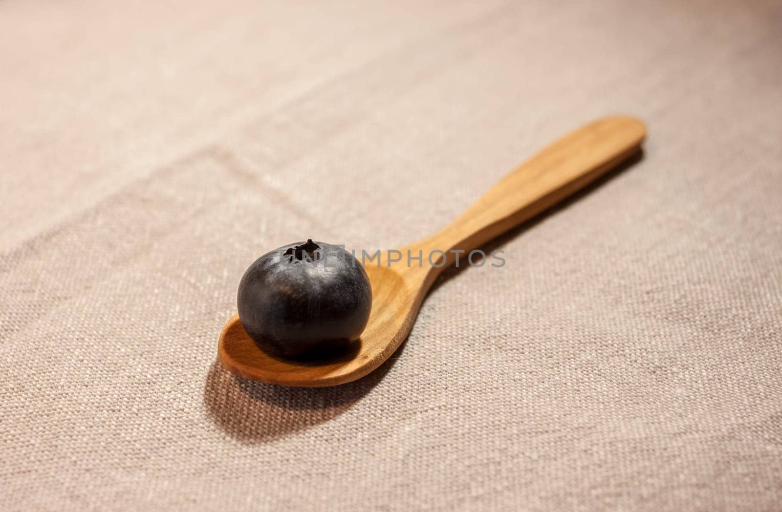 one big blueberry in small wooden spoon on textile background