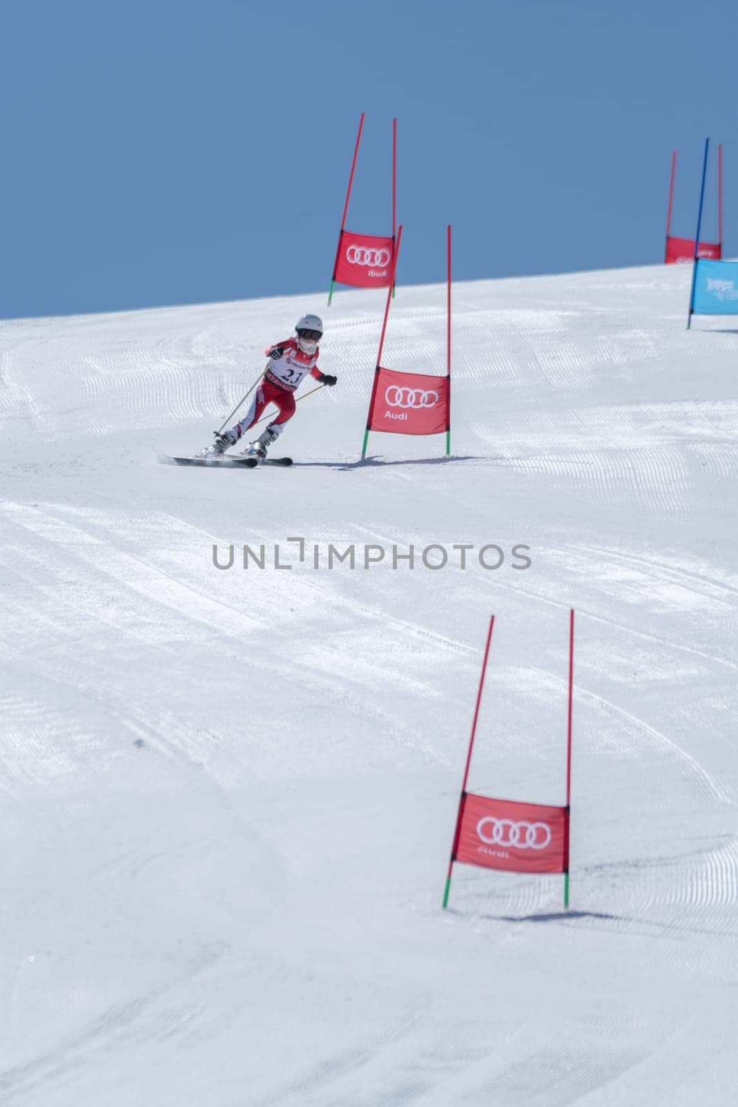 COVILHA, PORTUGAL - APRIL 2, 2017:  Barbara Silva during the National Ski  Championships at Serra da Estrela, Covilha, Portugal.